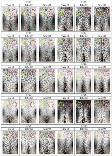 Animals 11 03372 g0a2c Animals 11 03372 g0a2c