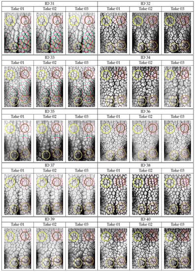 Animals 11 03372 g0a2d Animals 11 03372 g0a2d