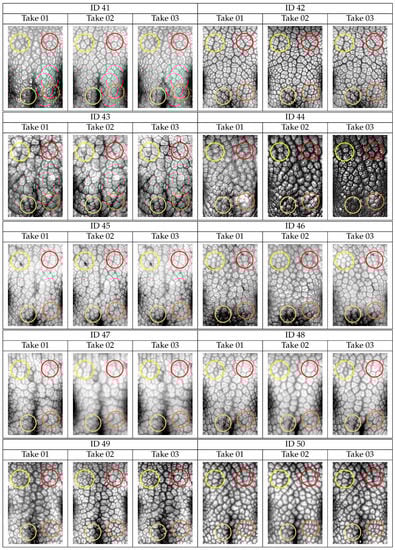 Animals 11 03372 g0a2e Animals 11 03372 g0a2e