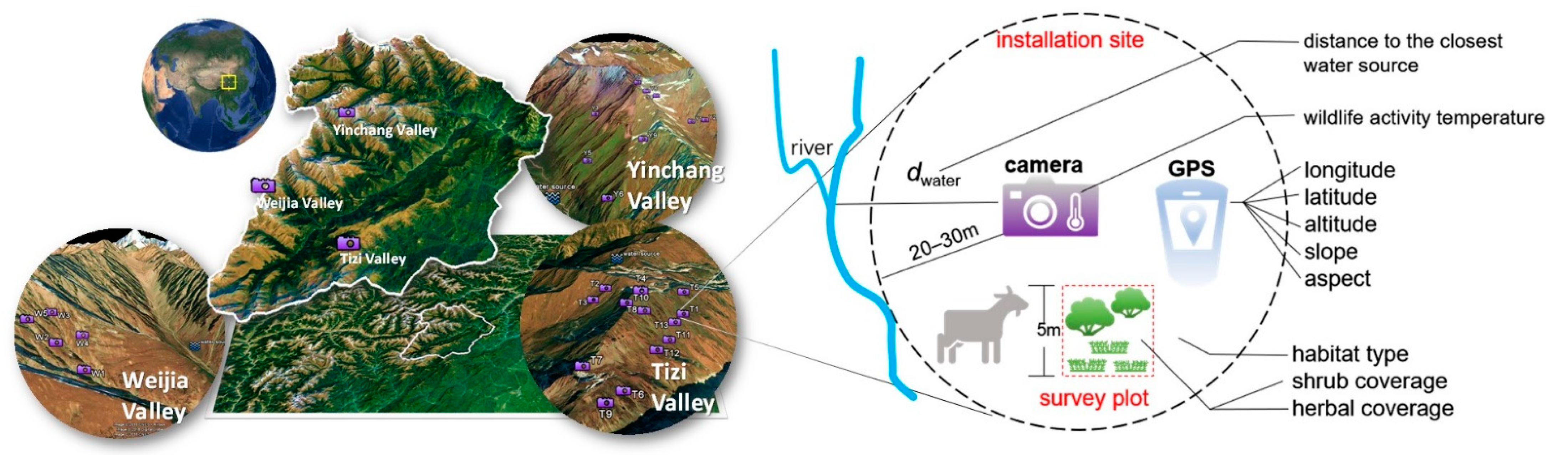 Animals 11 03377 g001