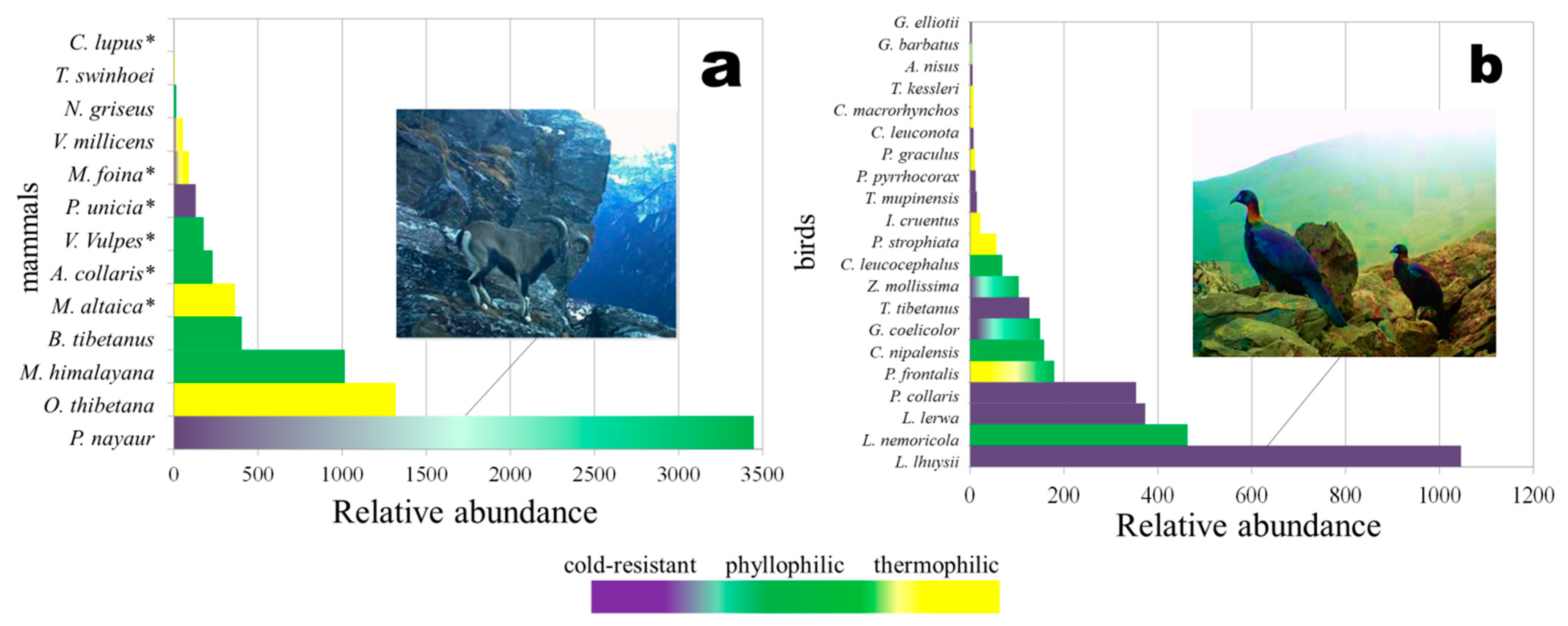 Animals 11 03377 g004