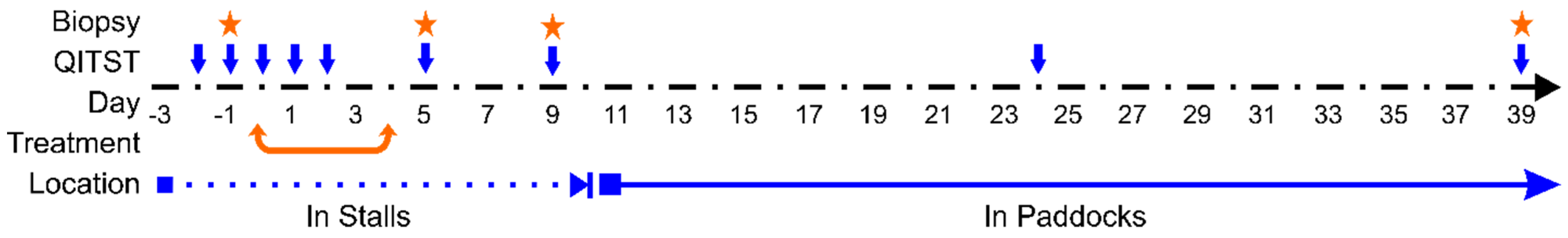 Animals 11 03379 g001