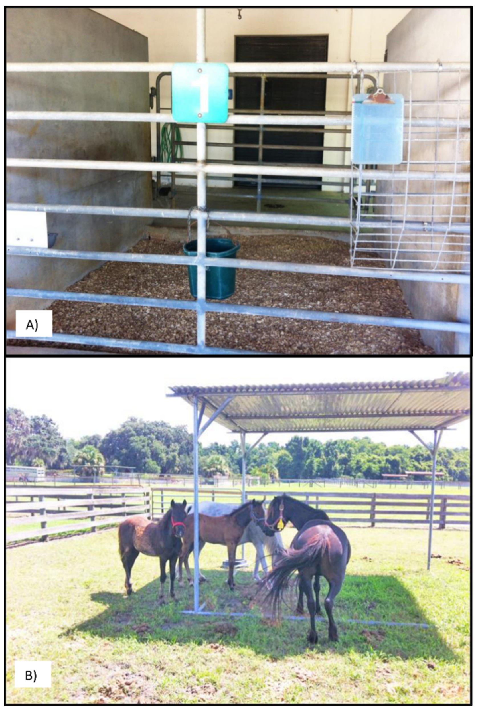 Animals 11 03379 g002