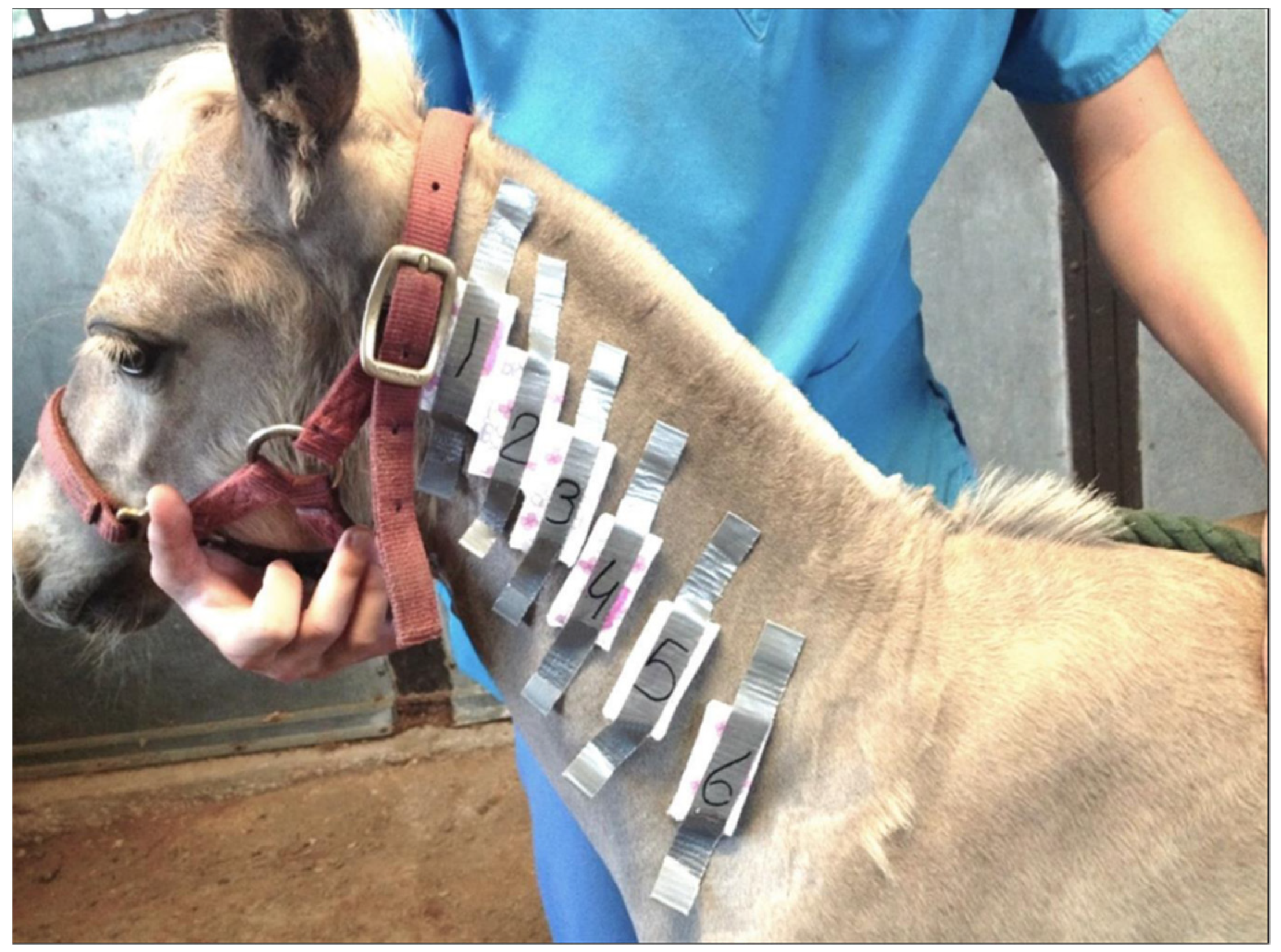 Animals 11 03379 g003