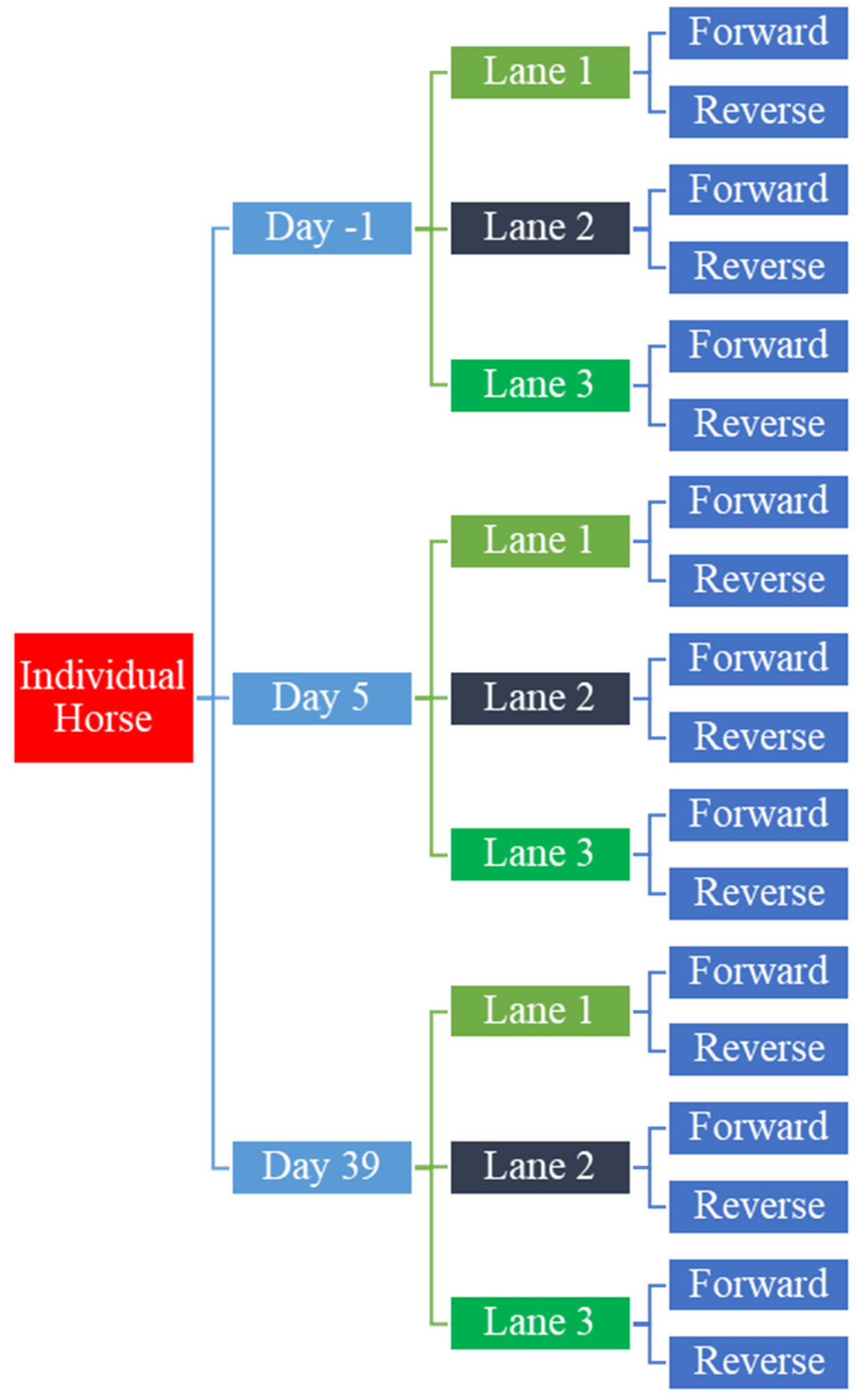 Animals 11 03379 g004