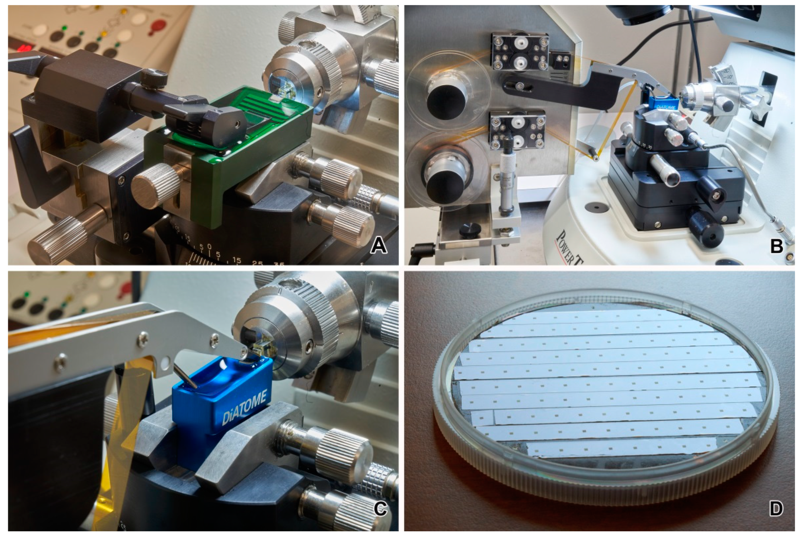 Animals 11 03390 g006