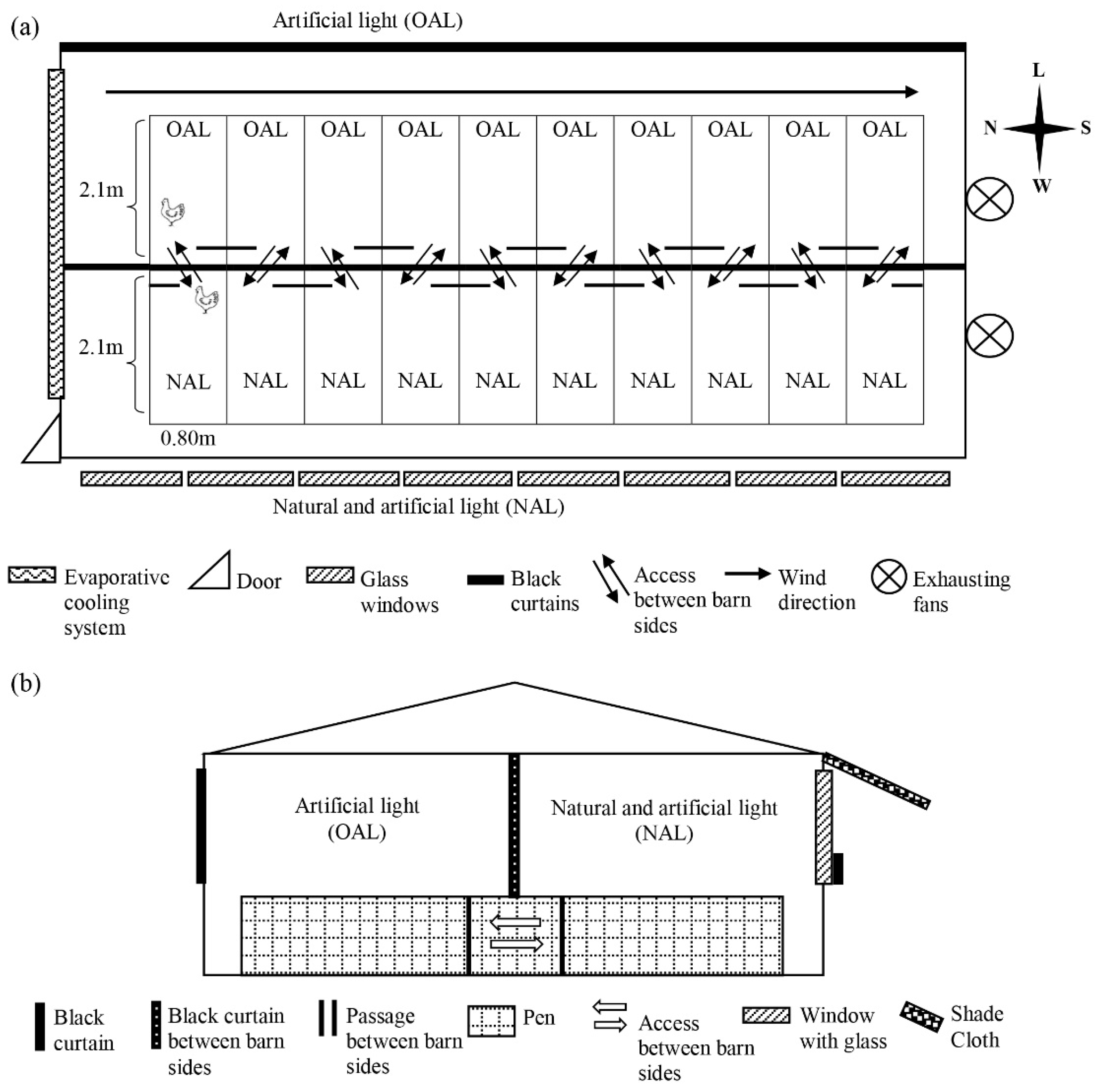 Animals 11 03397 g001