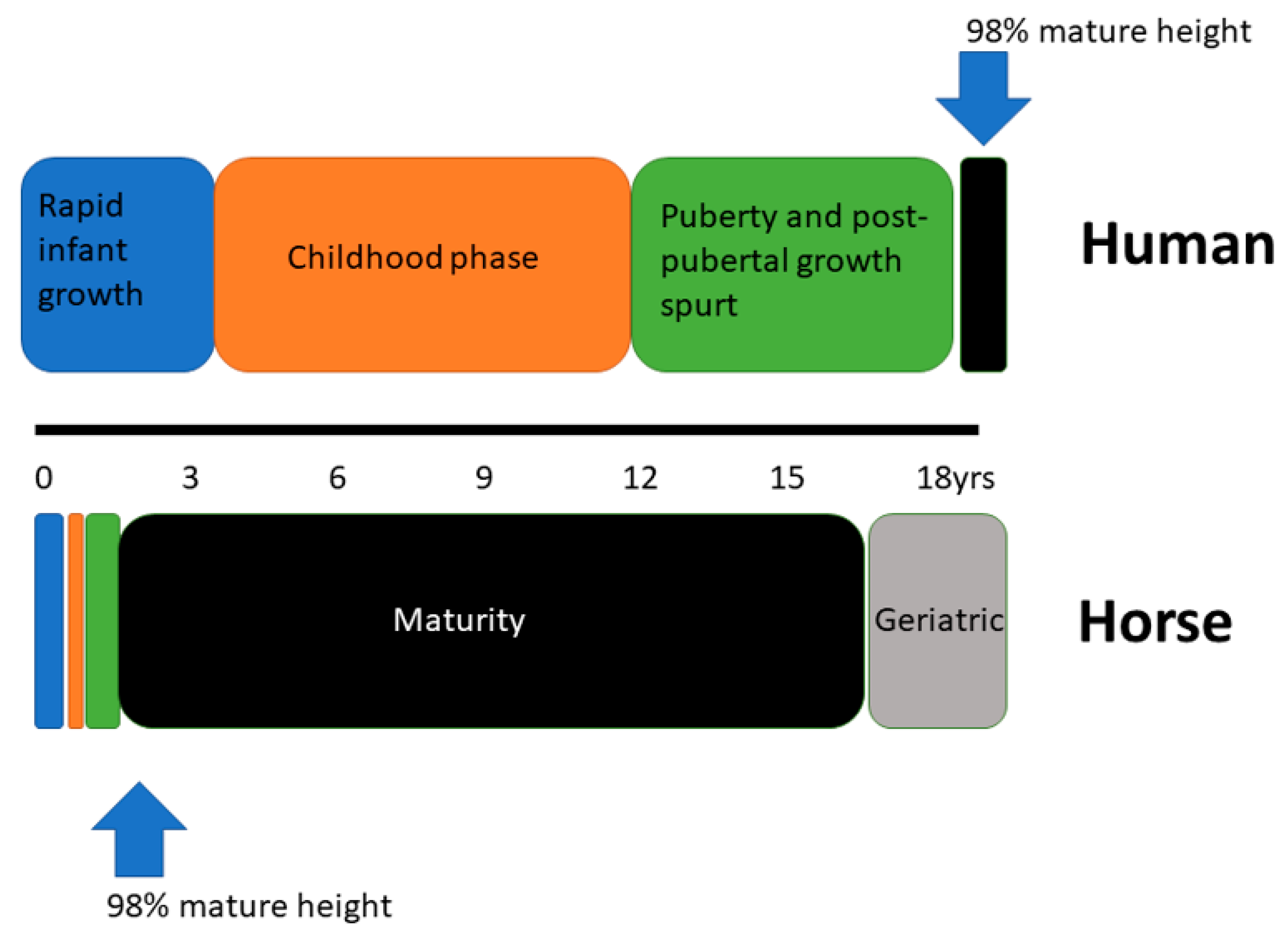 Animals 11 03402 g003