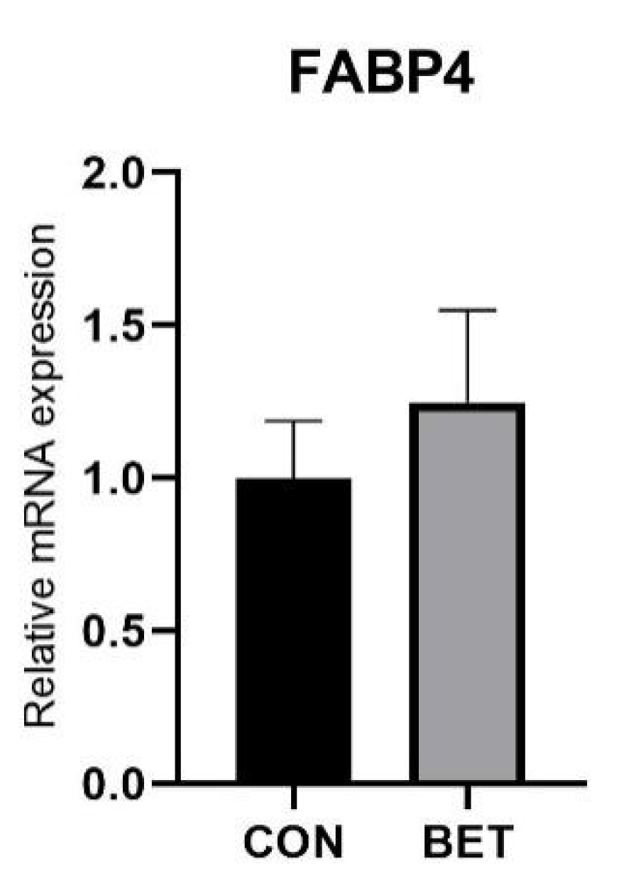 Animals 11 03408 g002b