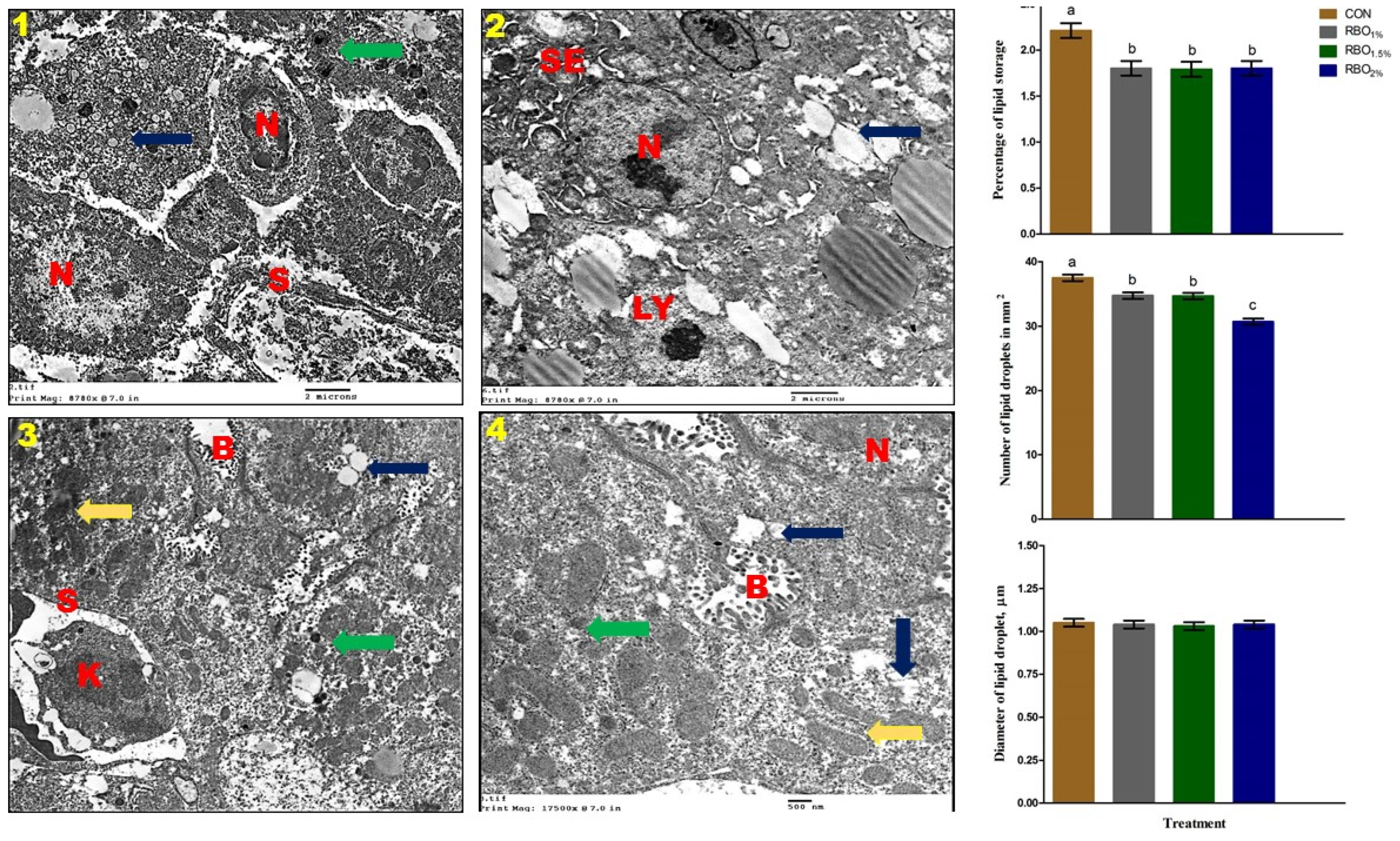 Animals 11 03410 g002