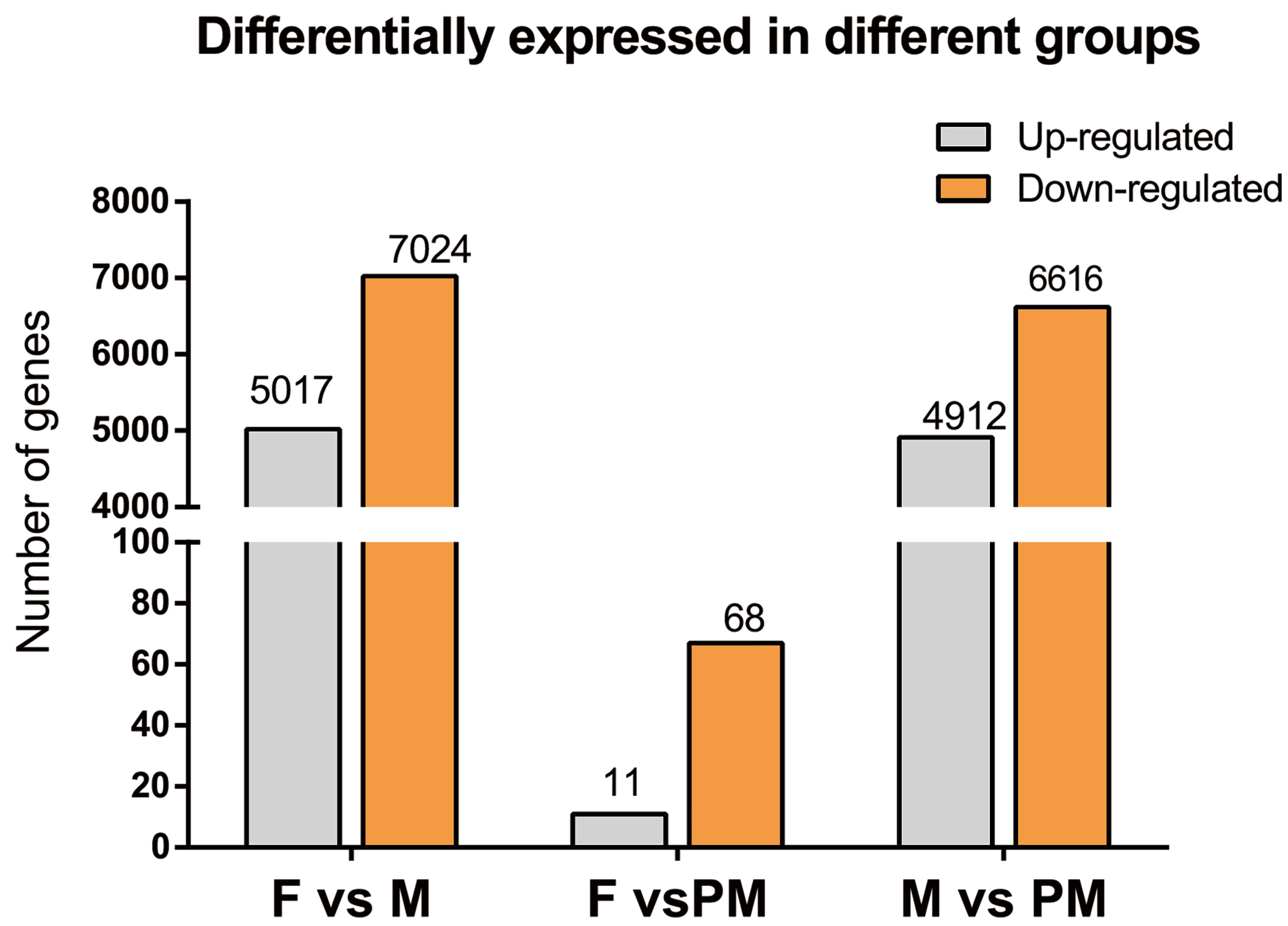 Animals 11 03419 g002