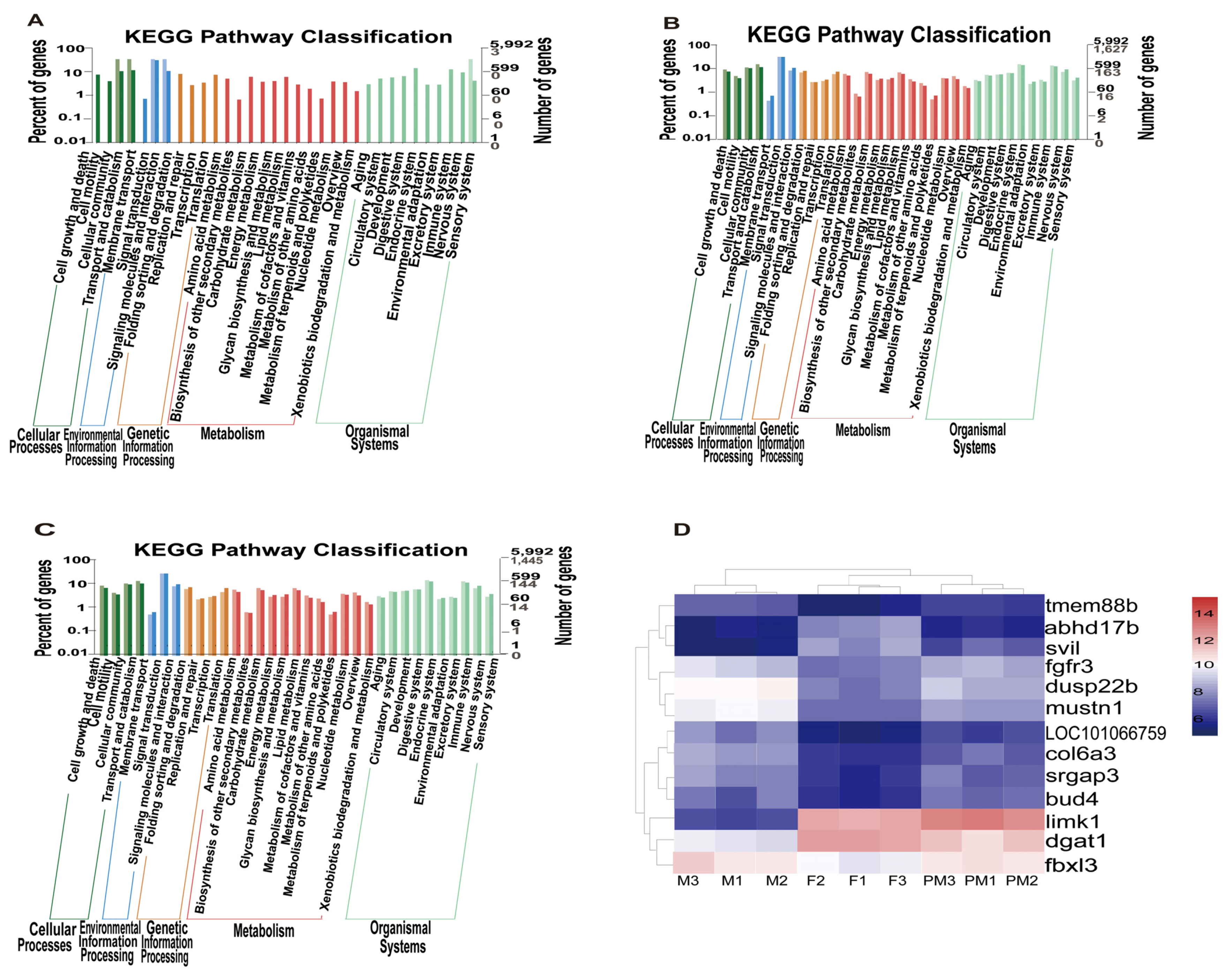 Animals 11 03419 g004