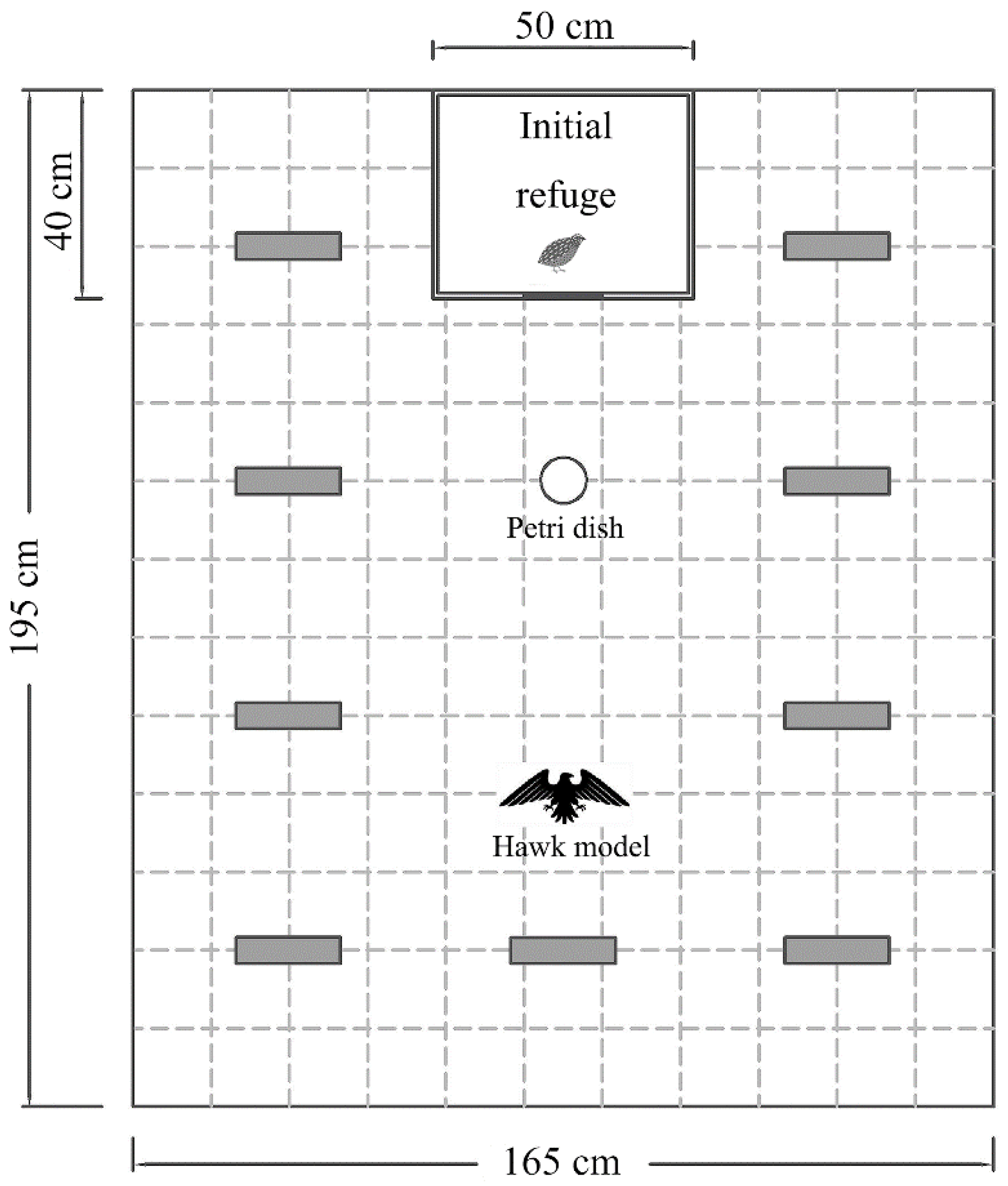 Animals 11 03423 g001