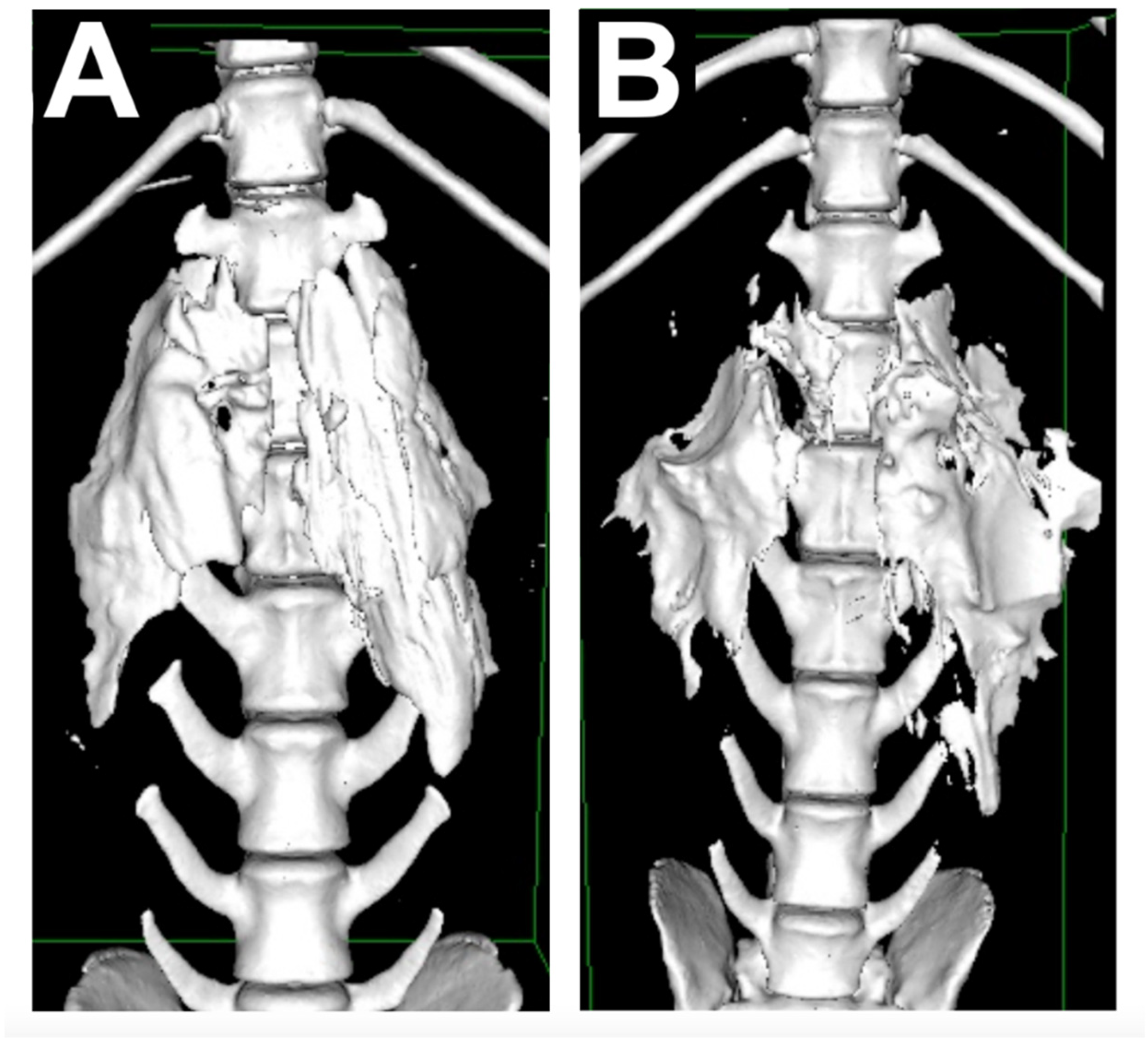 Animals 11 03424 g003