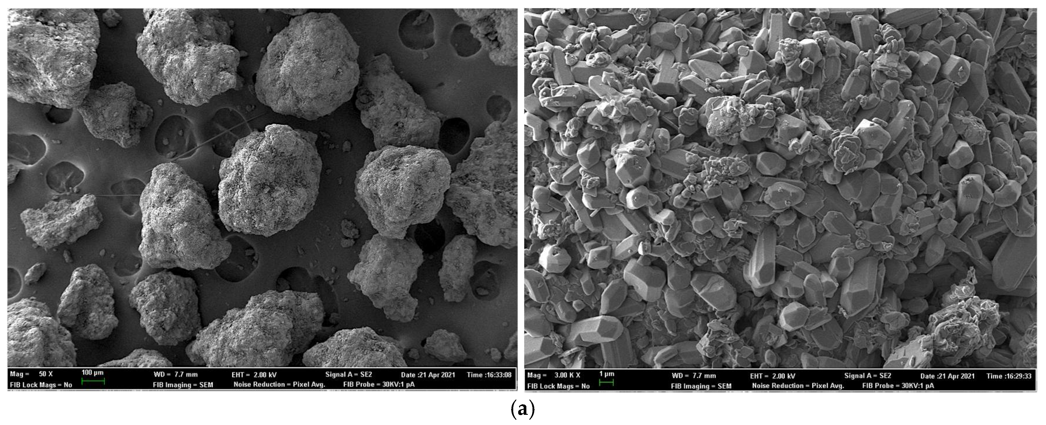 Animals 11 03427 g001a