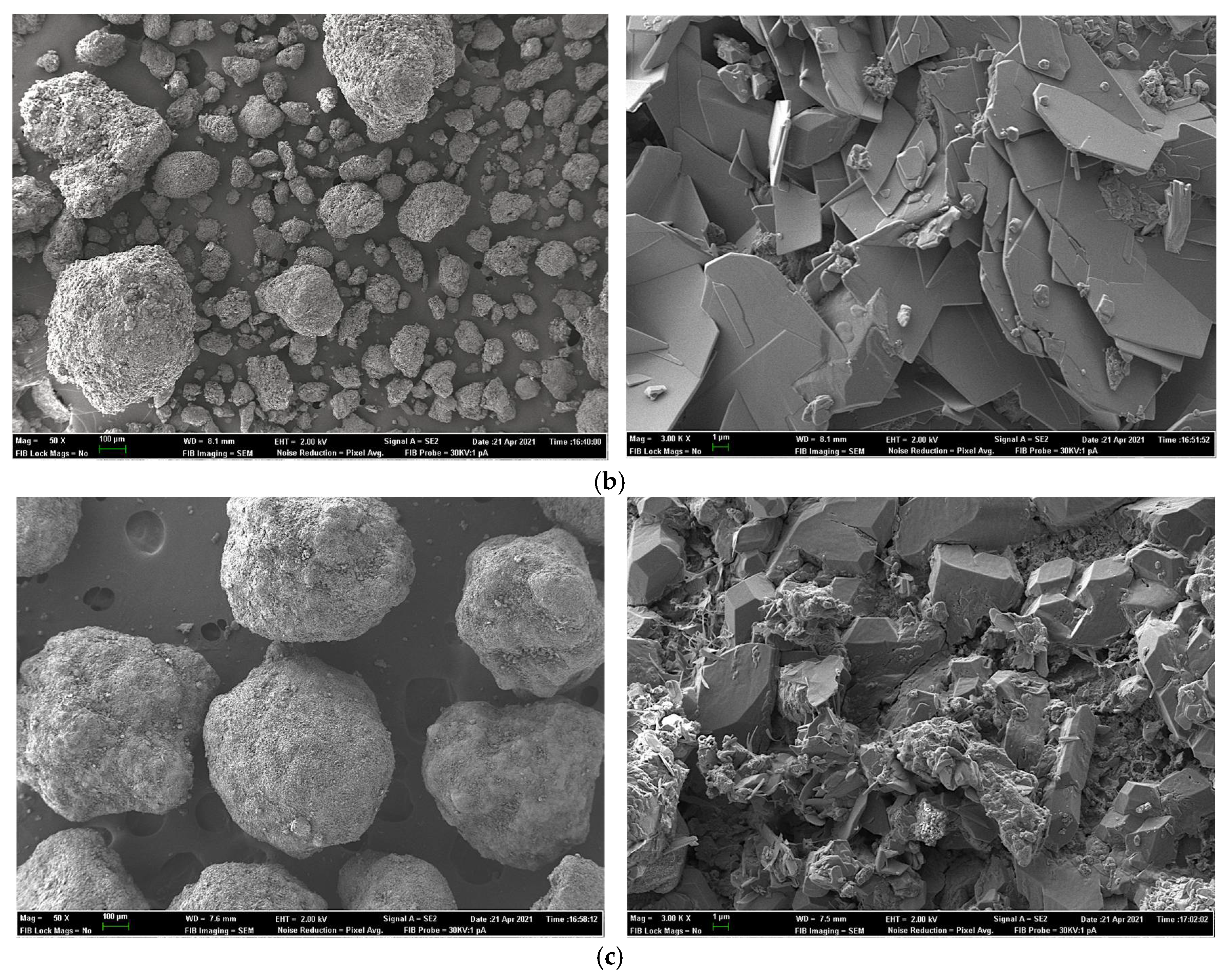 Animals 11 03427 g001b