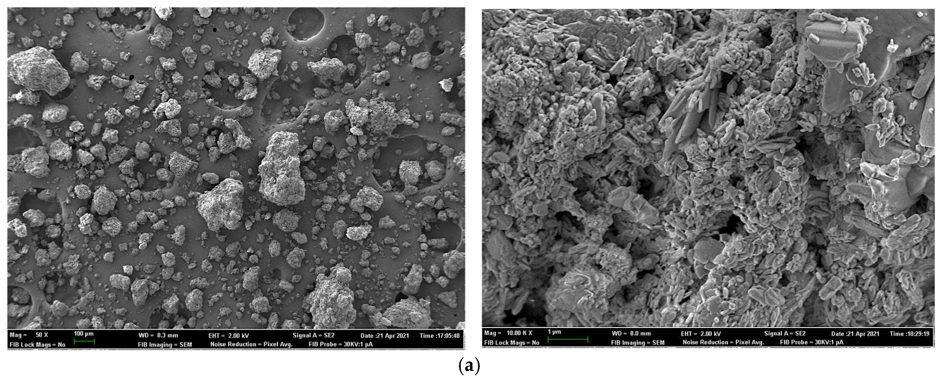 Animals 11 03427 g002a