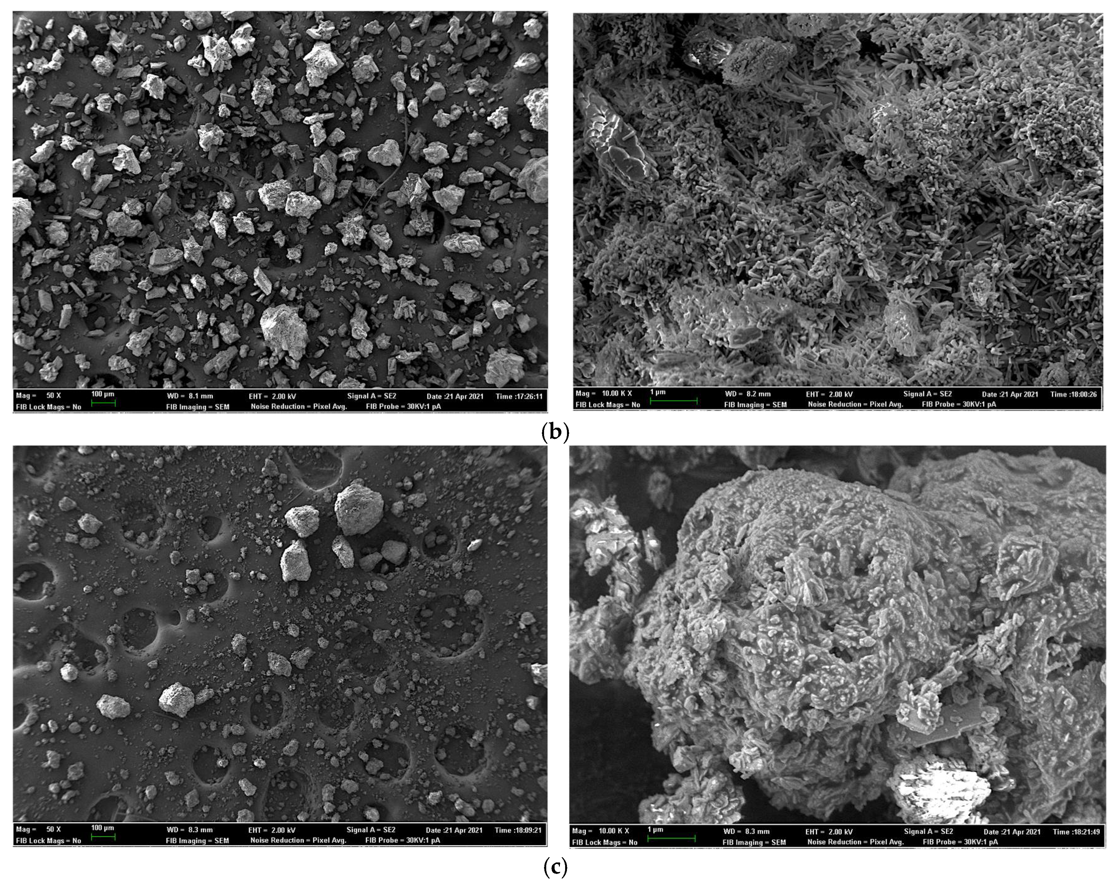 Animals 11 03427 g002b