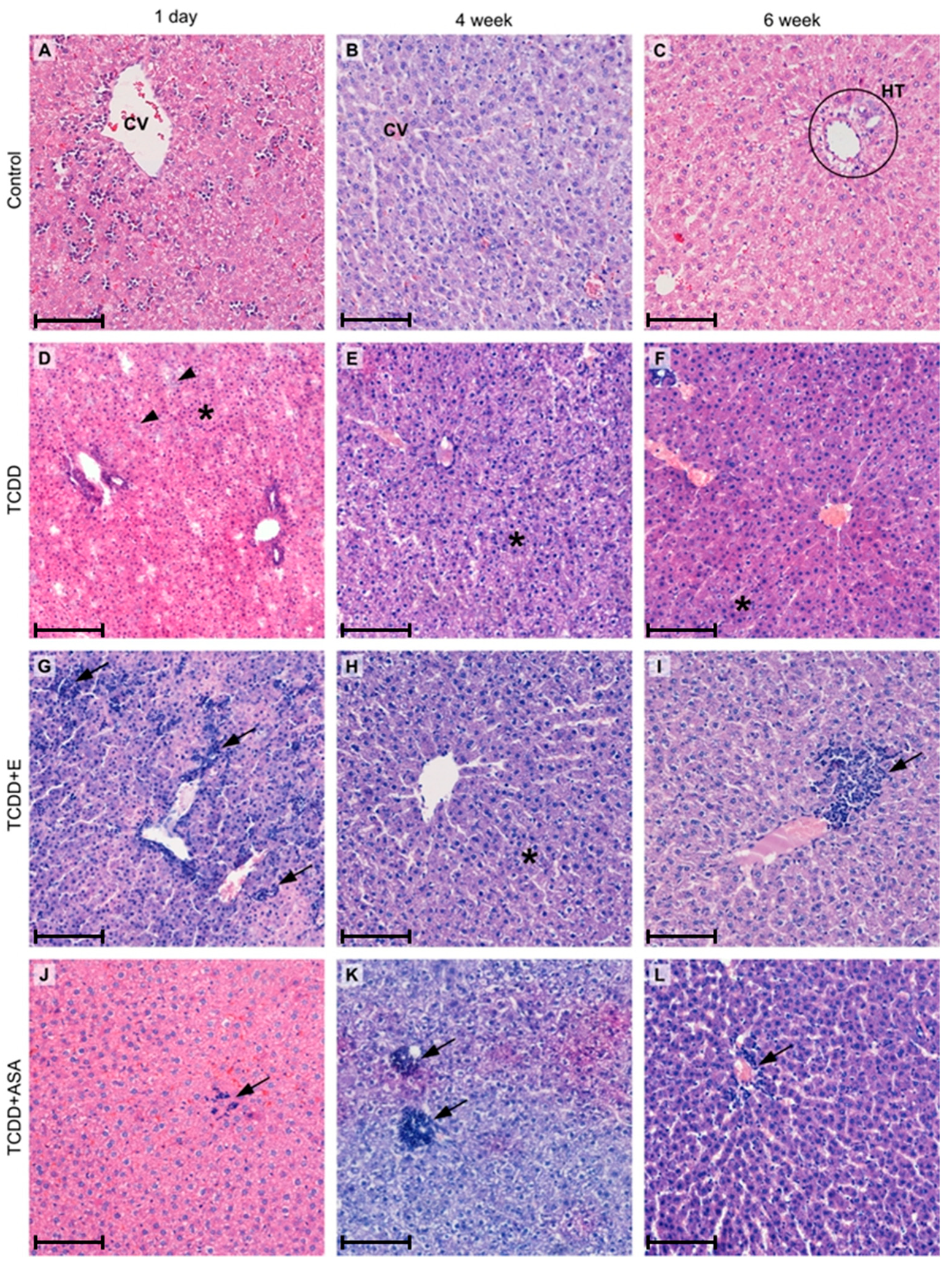 Animals 11 03430 g001