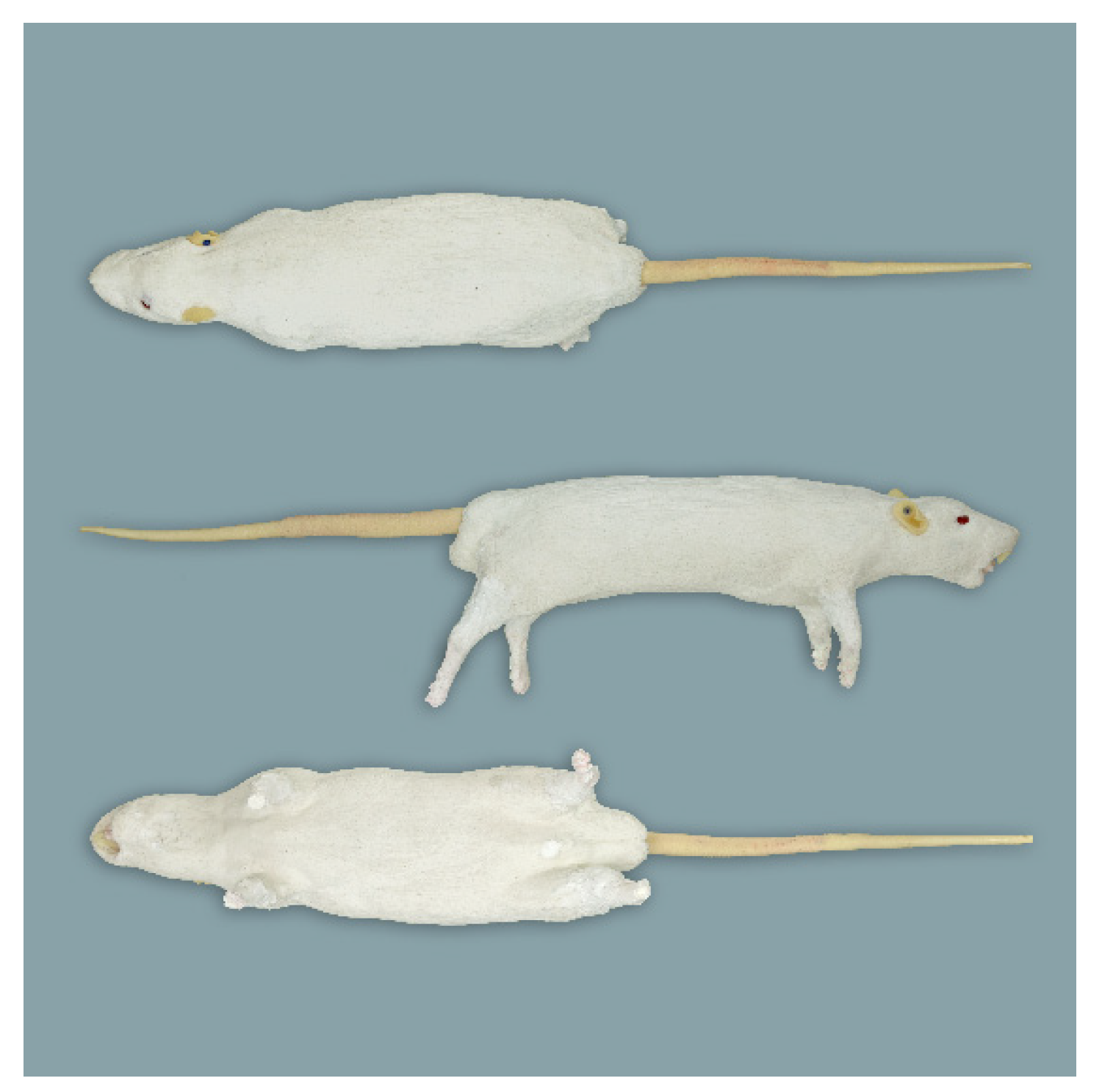 Animals 11 03432 g005