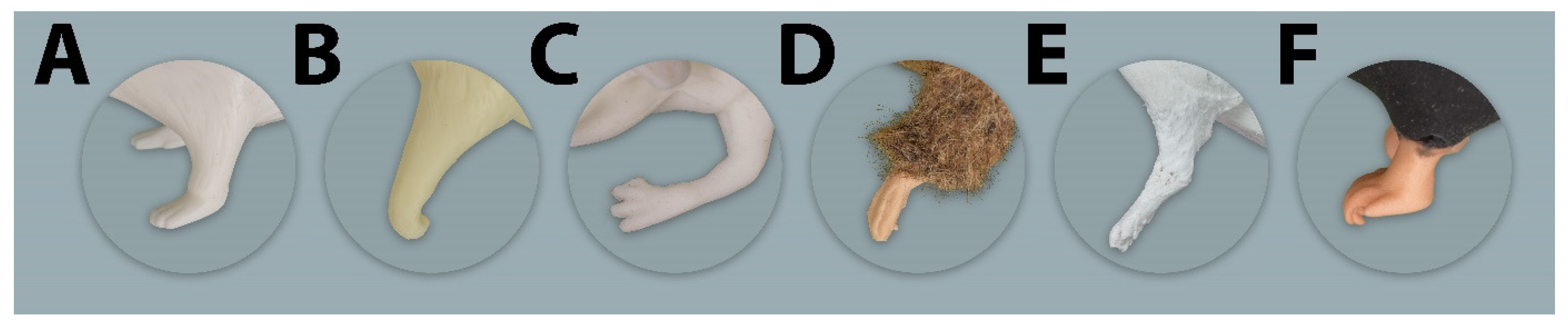 Animals 11 03432 g009