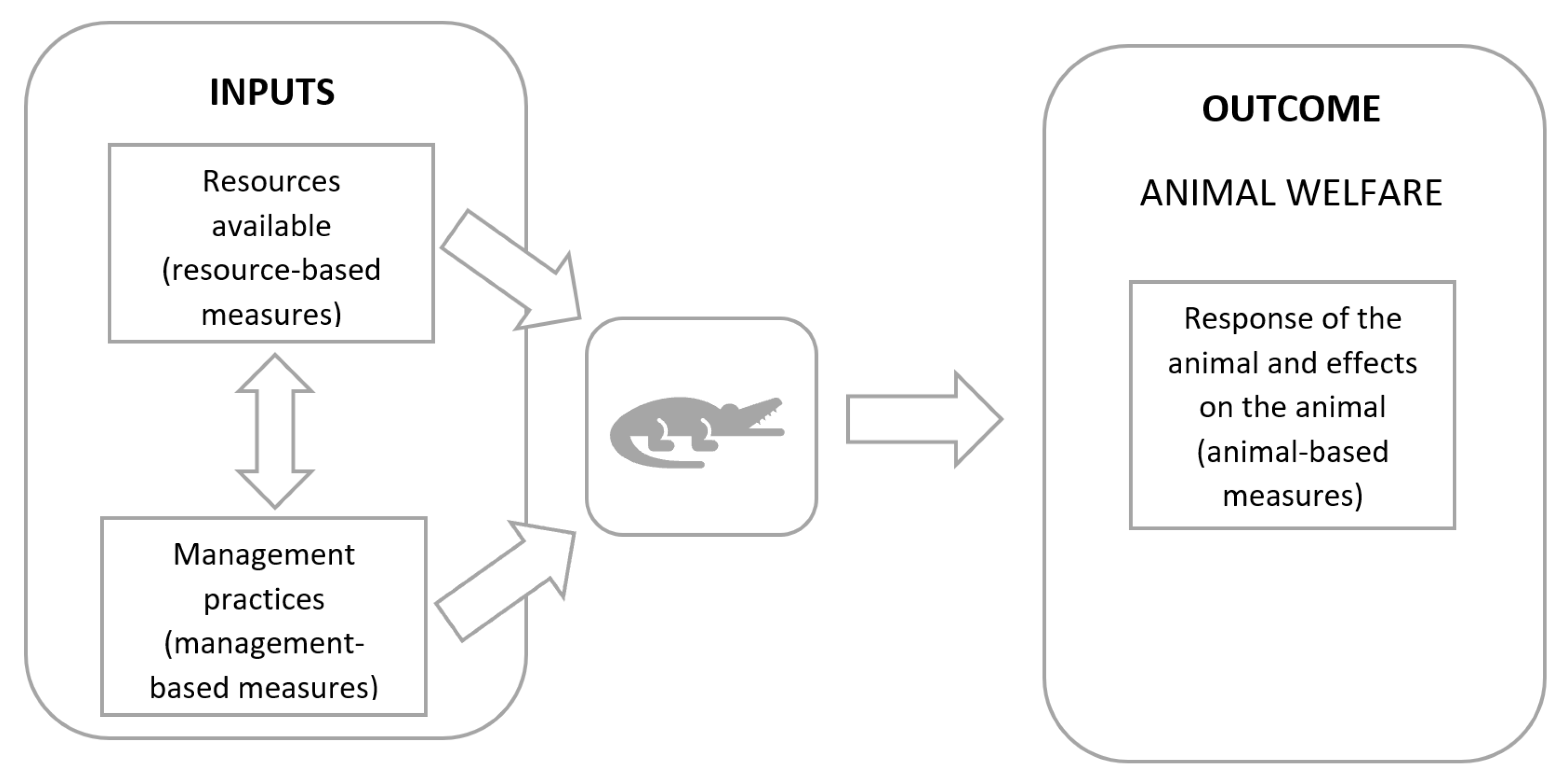 Animals 11 03450 g001