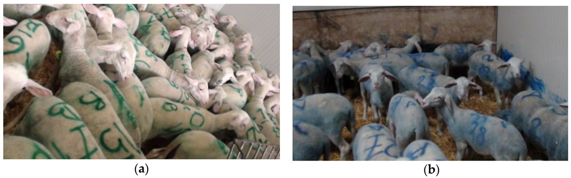 Animals 11 03464 g002 Animals 11 03464 g002