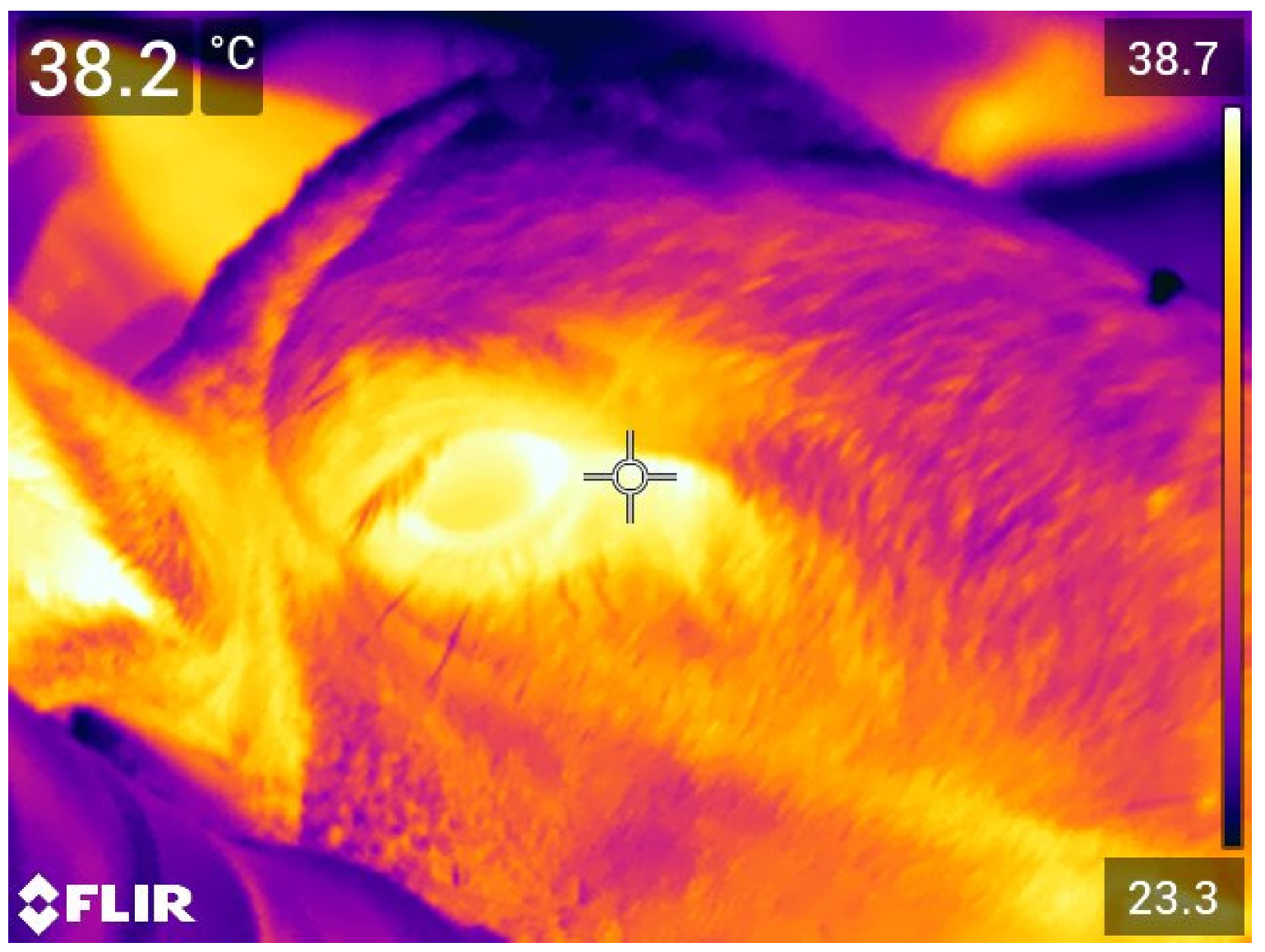 Animals 11 03464 g003 Animals 11 03464 g003