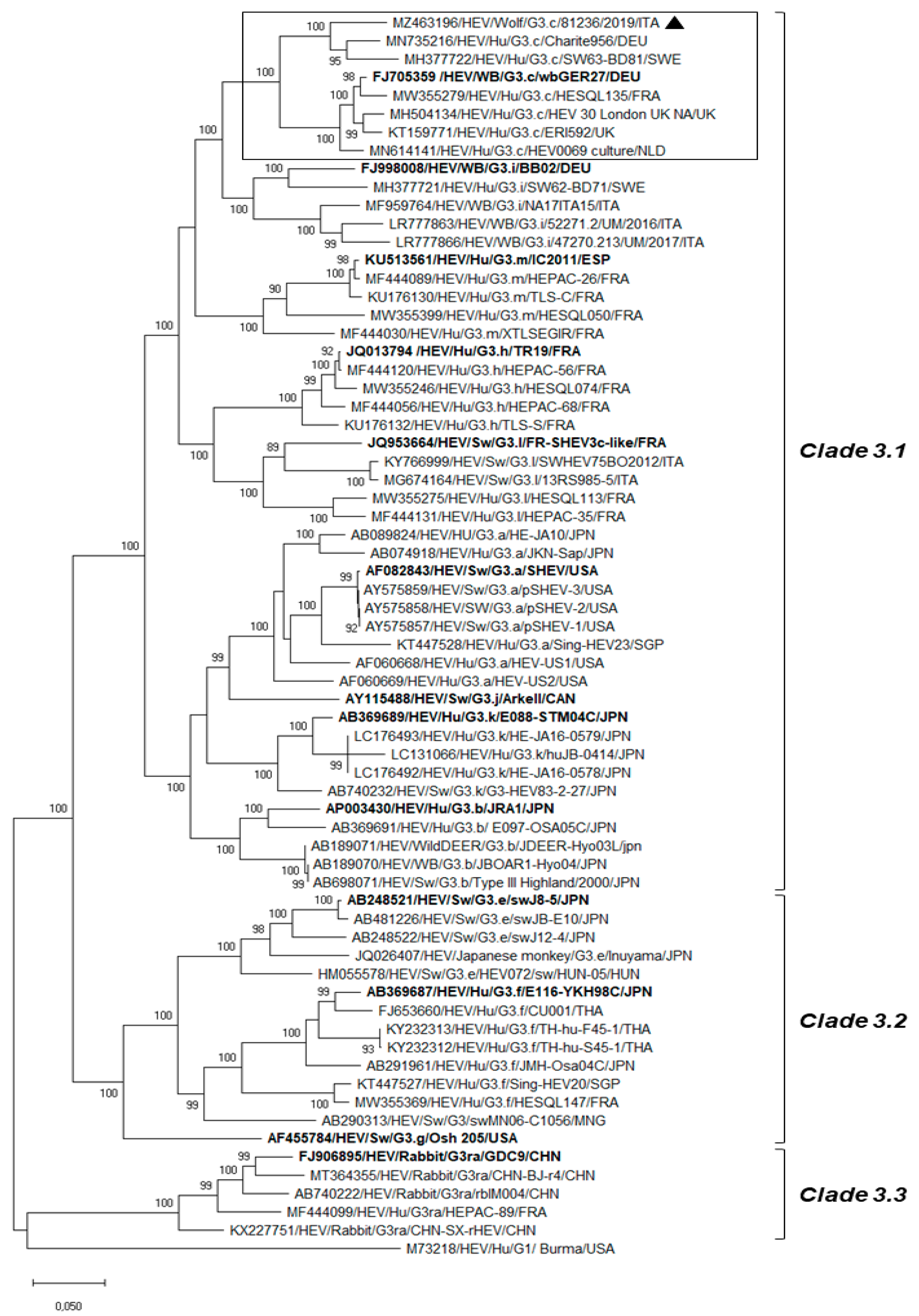 Animals 11 03465 g001