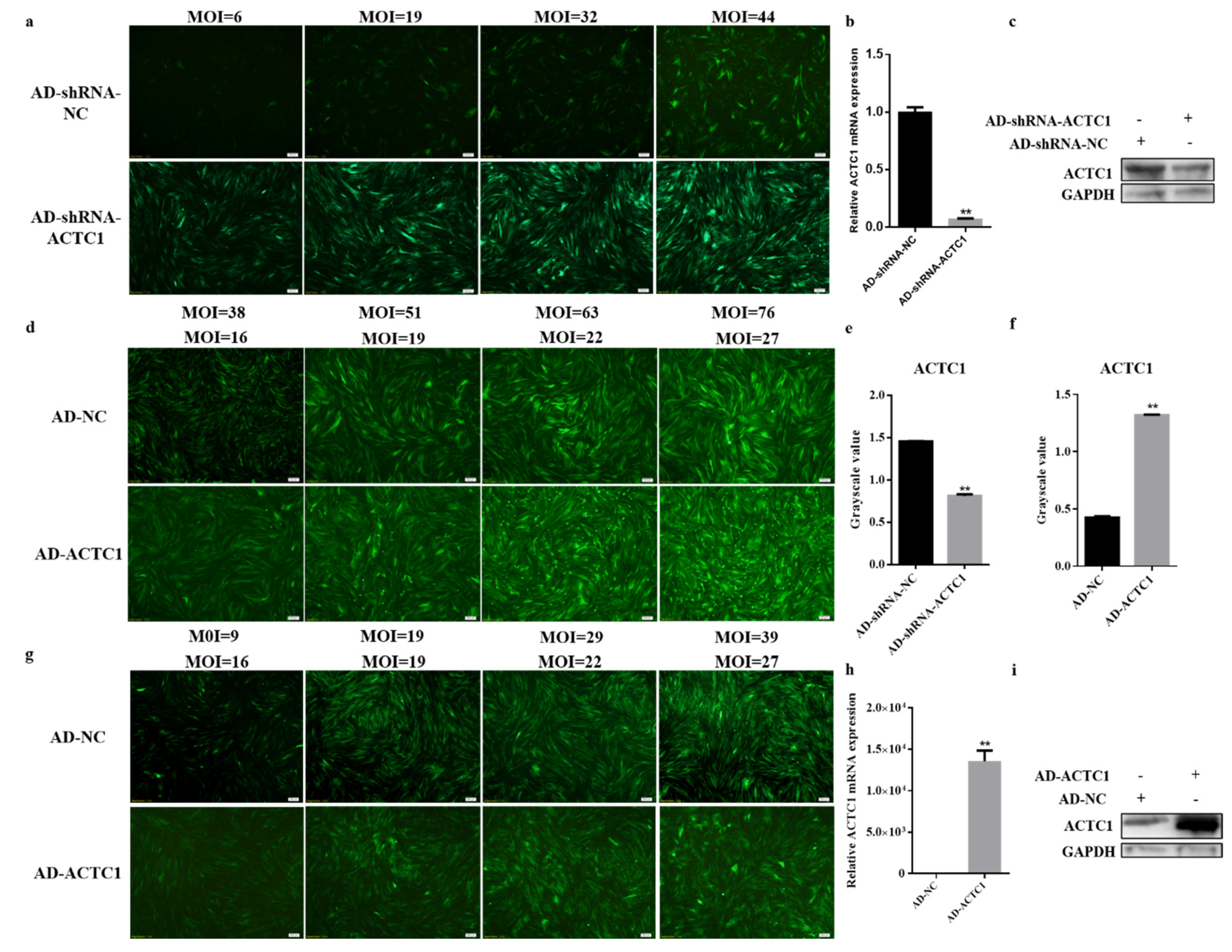 Animals 11 03468 g001