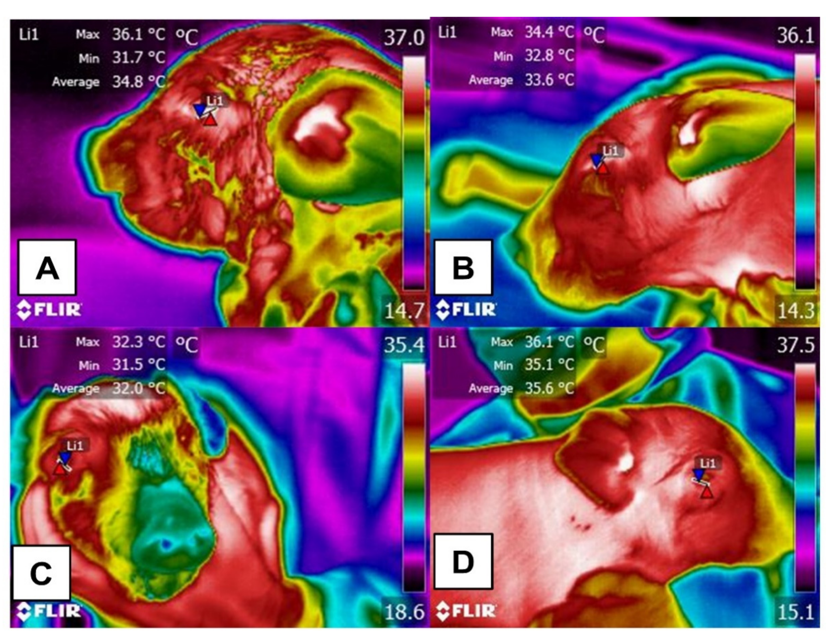 Animals 11 03472 g005