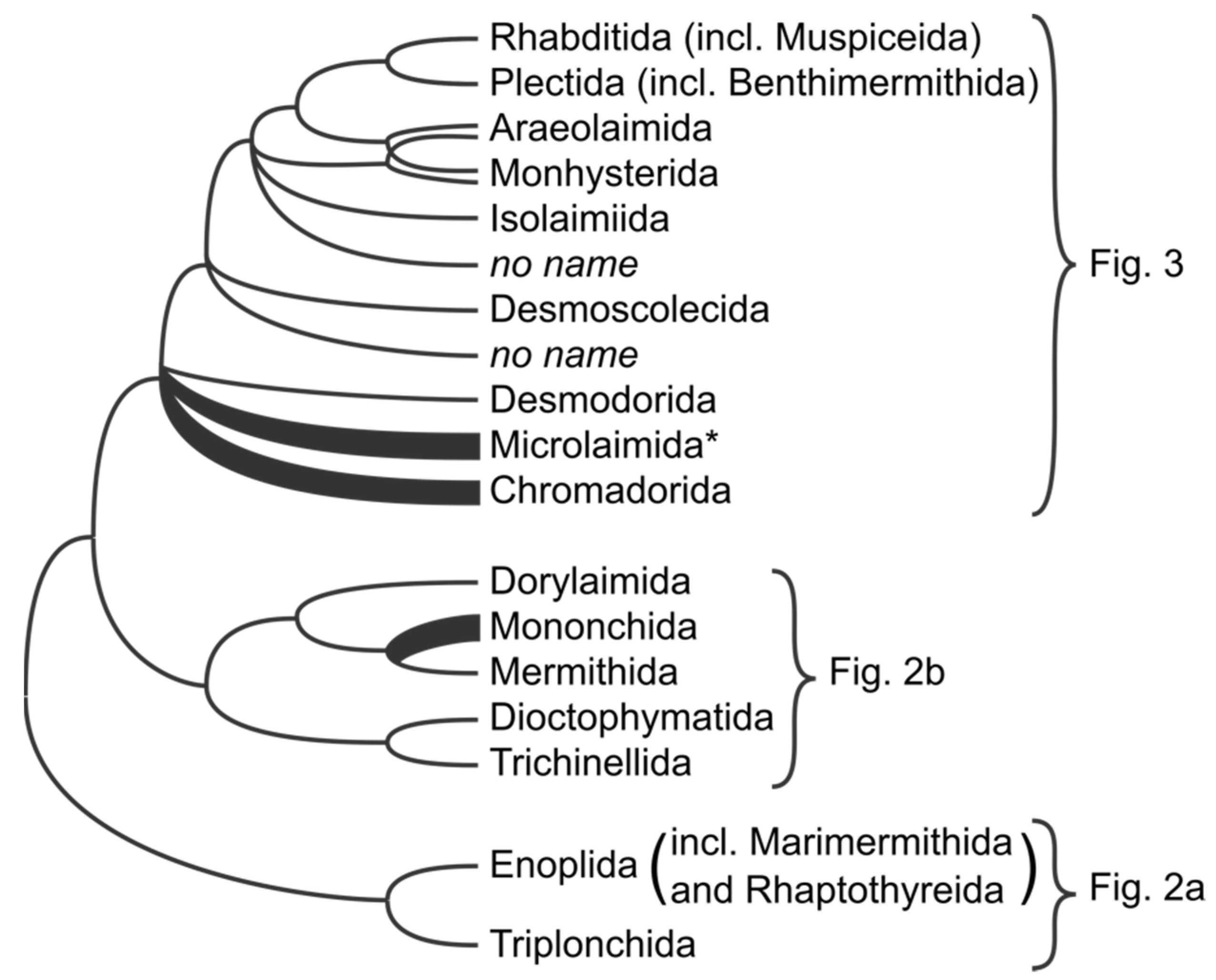 Animals 11 03479 g001 Animals 11 03479 g001