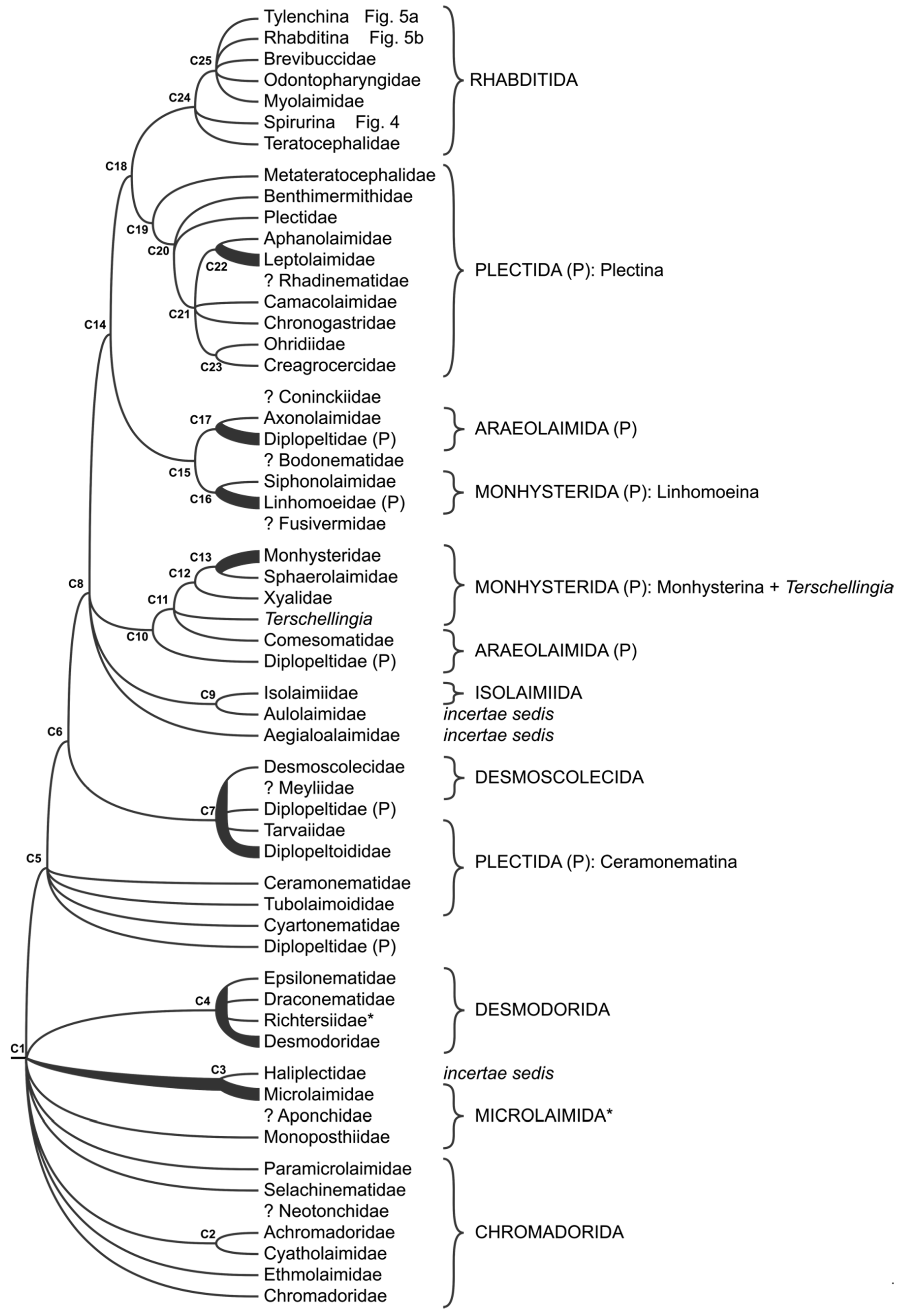 Animals 11 03479 g003 Animals 11 03479 g003