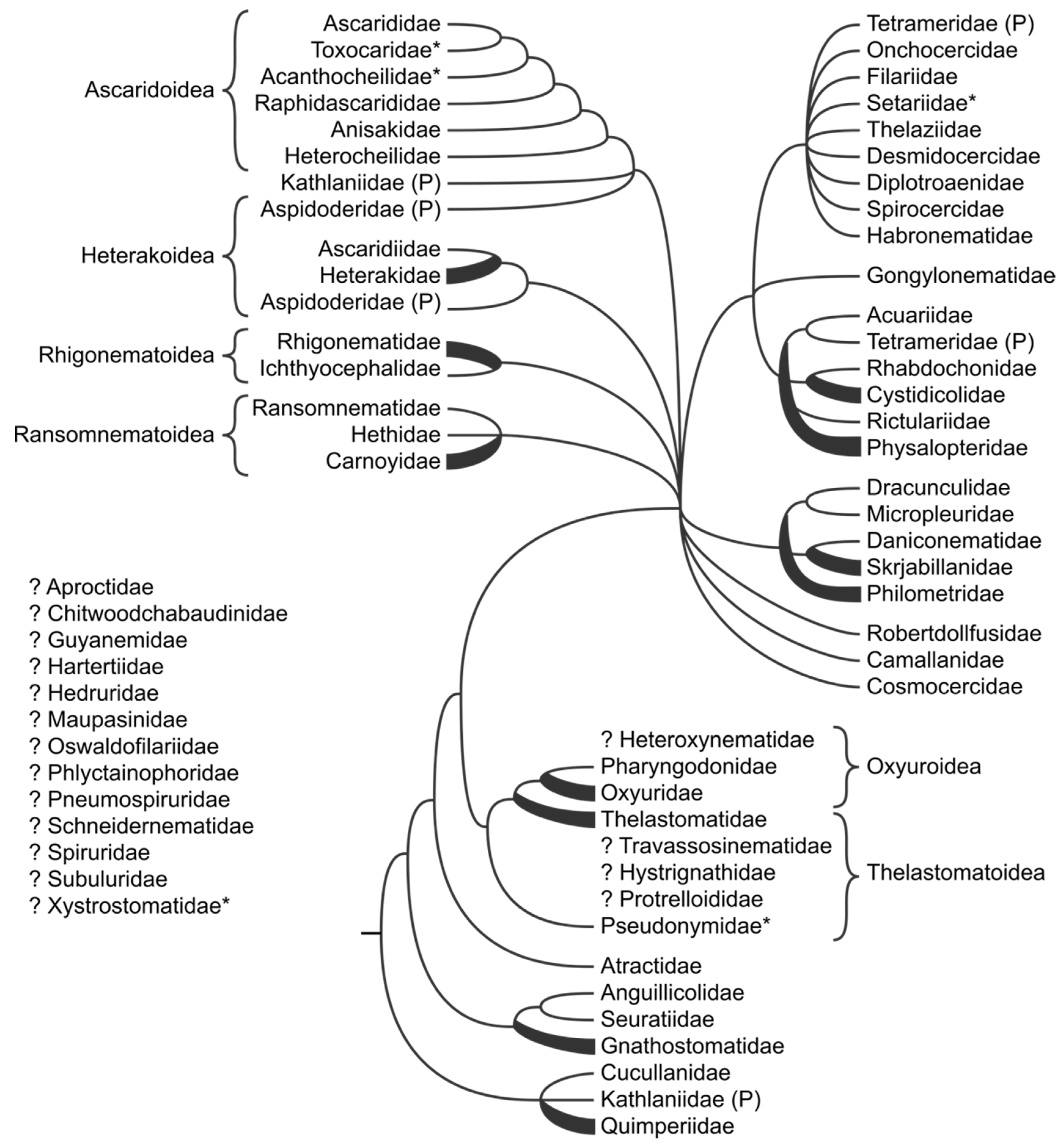 Animals 11 03479 g004 Animals 11 03479 g004