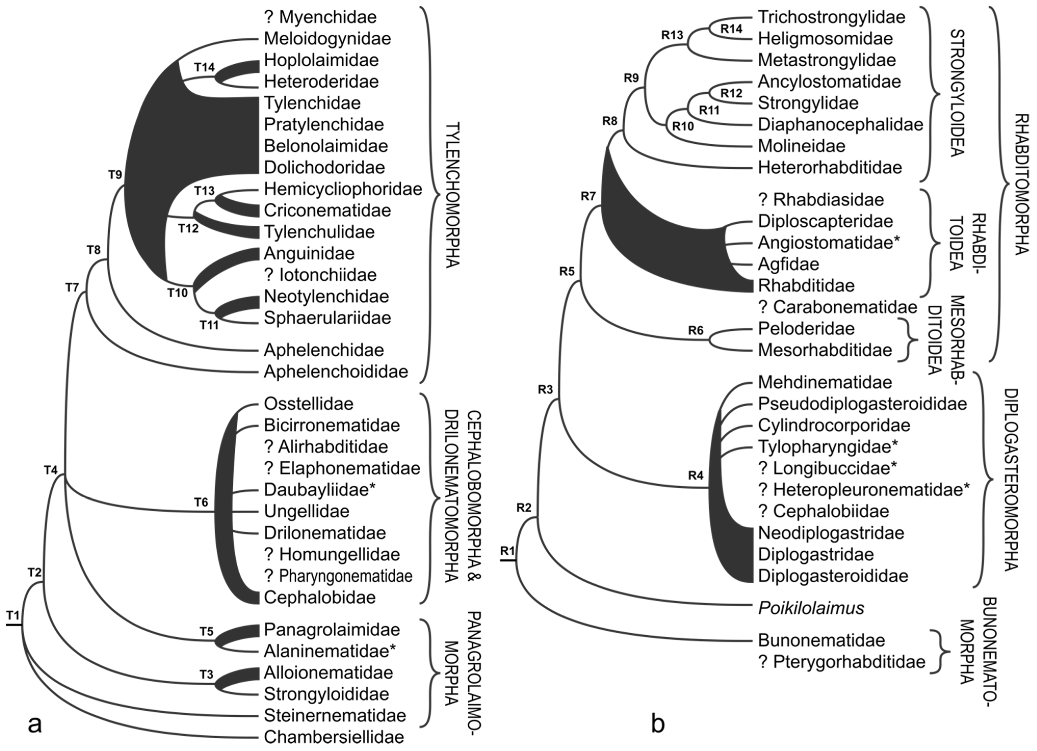 Animals 11 03479 g005 Animals 11 03479 g005