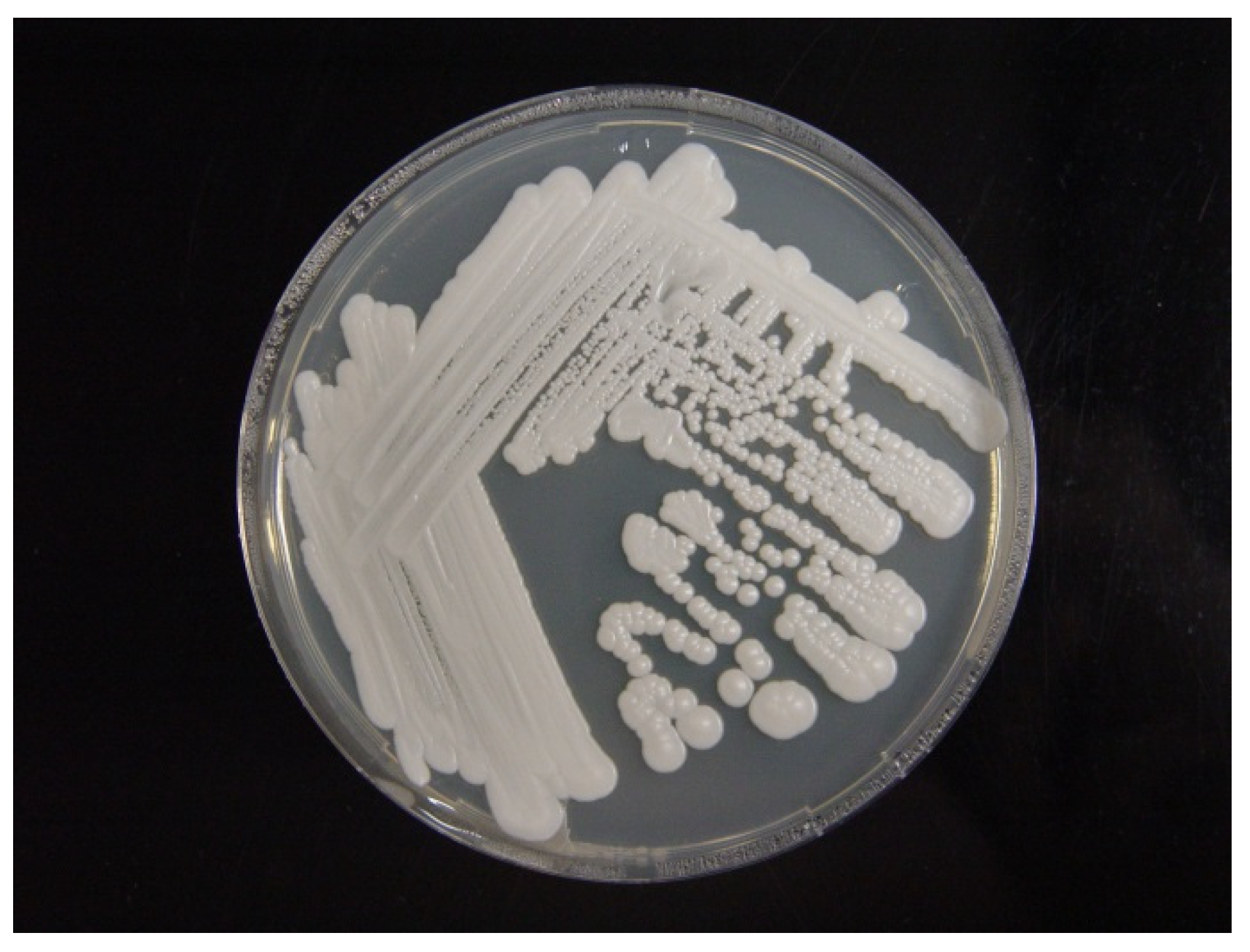 Animals 11 03480 g003