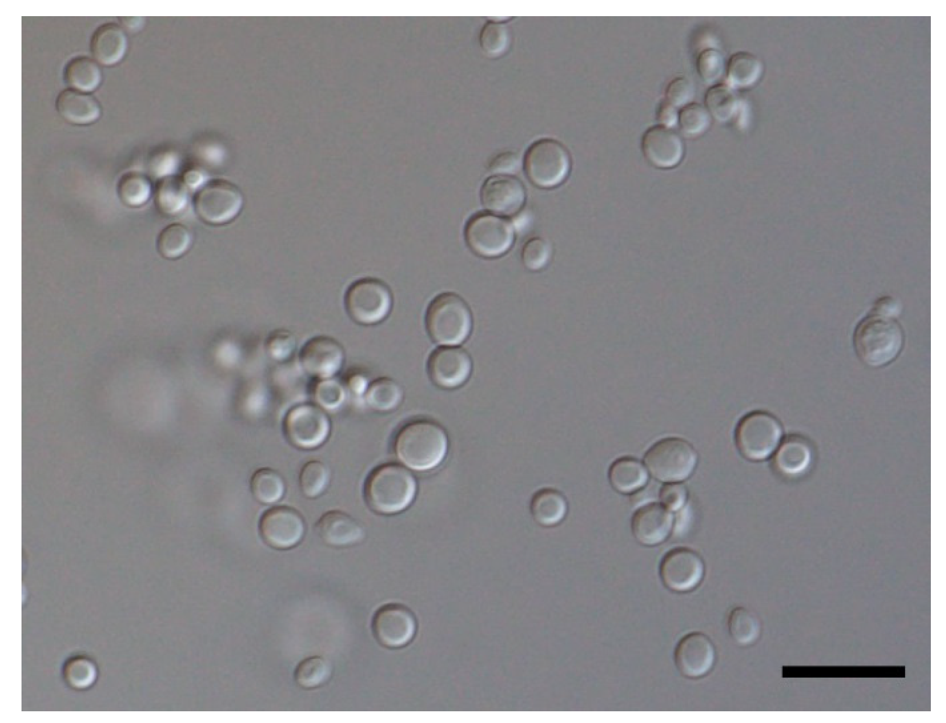 Animals 11 03480 g004