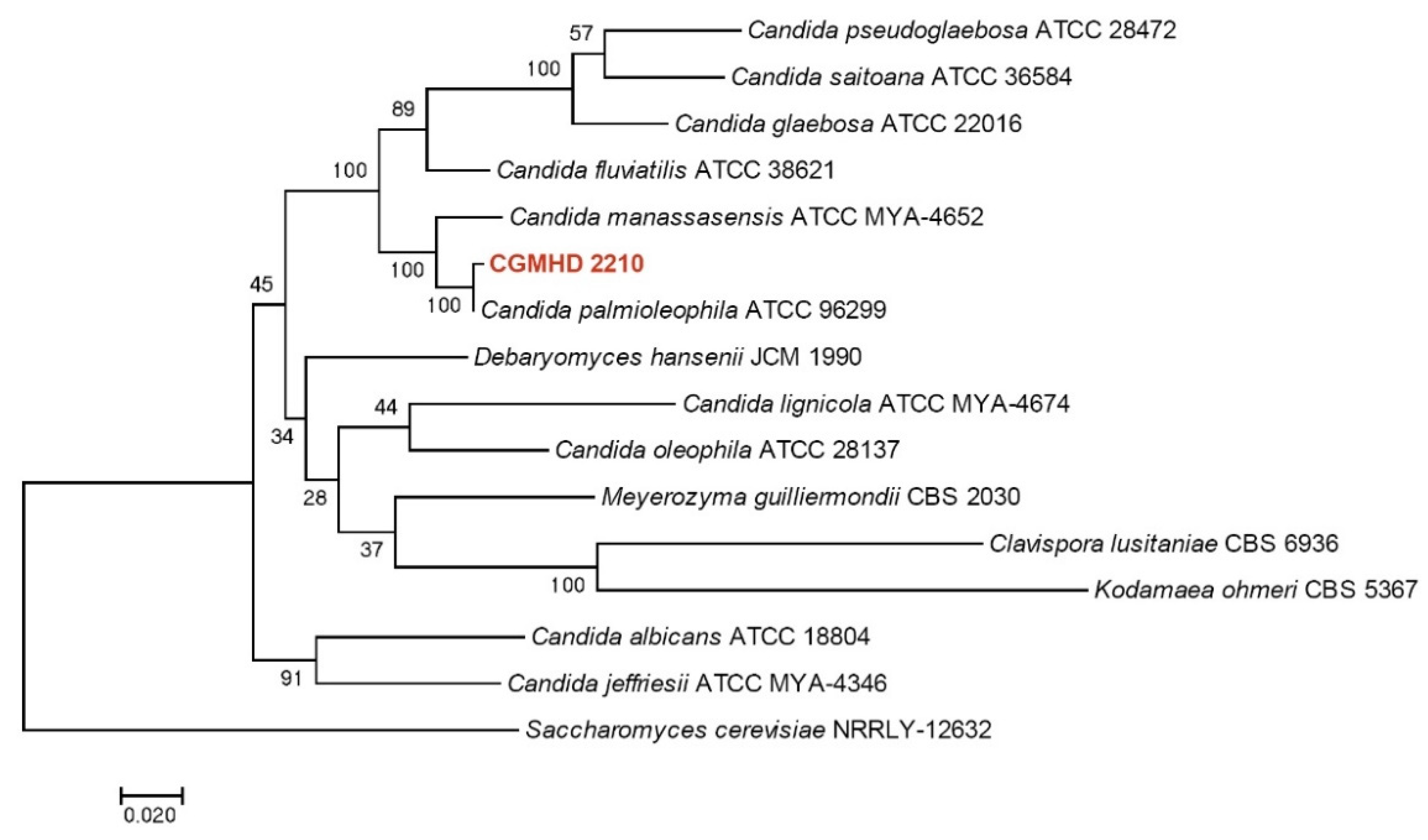 Animals 11 03480 g005