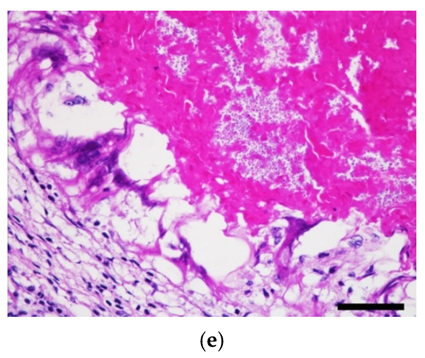 Animals 11 03480 g006b