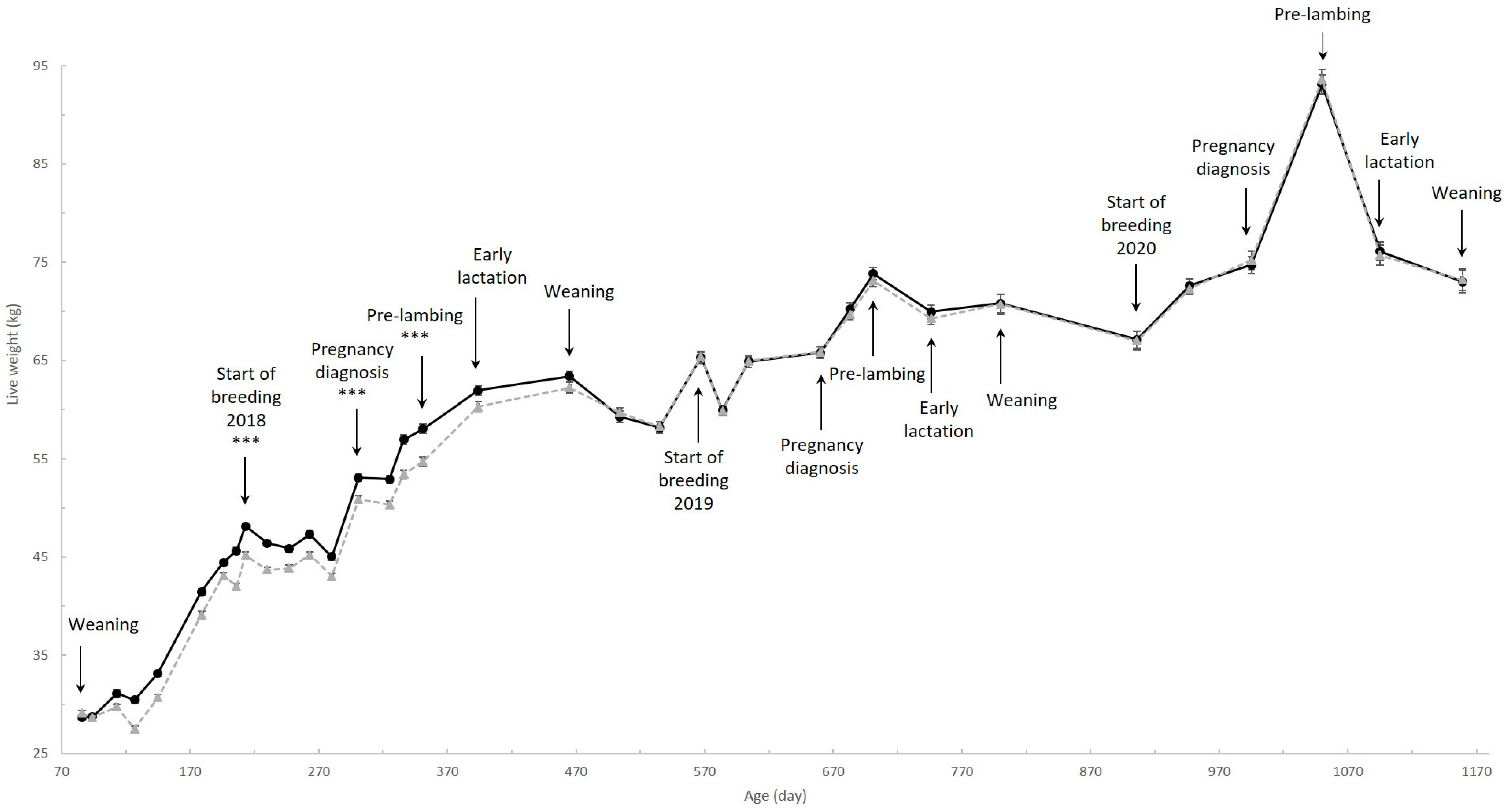 Animals 11 03486 g001