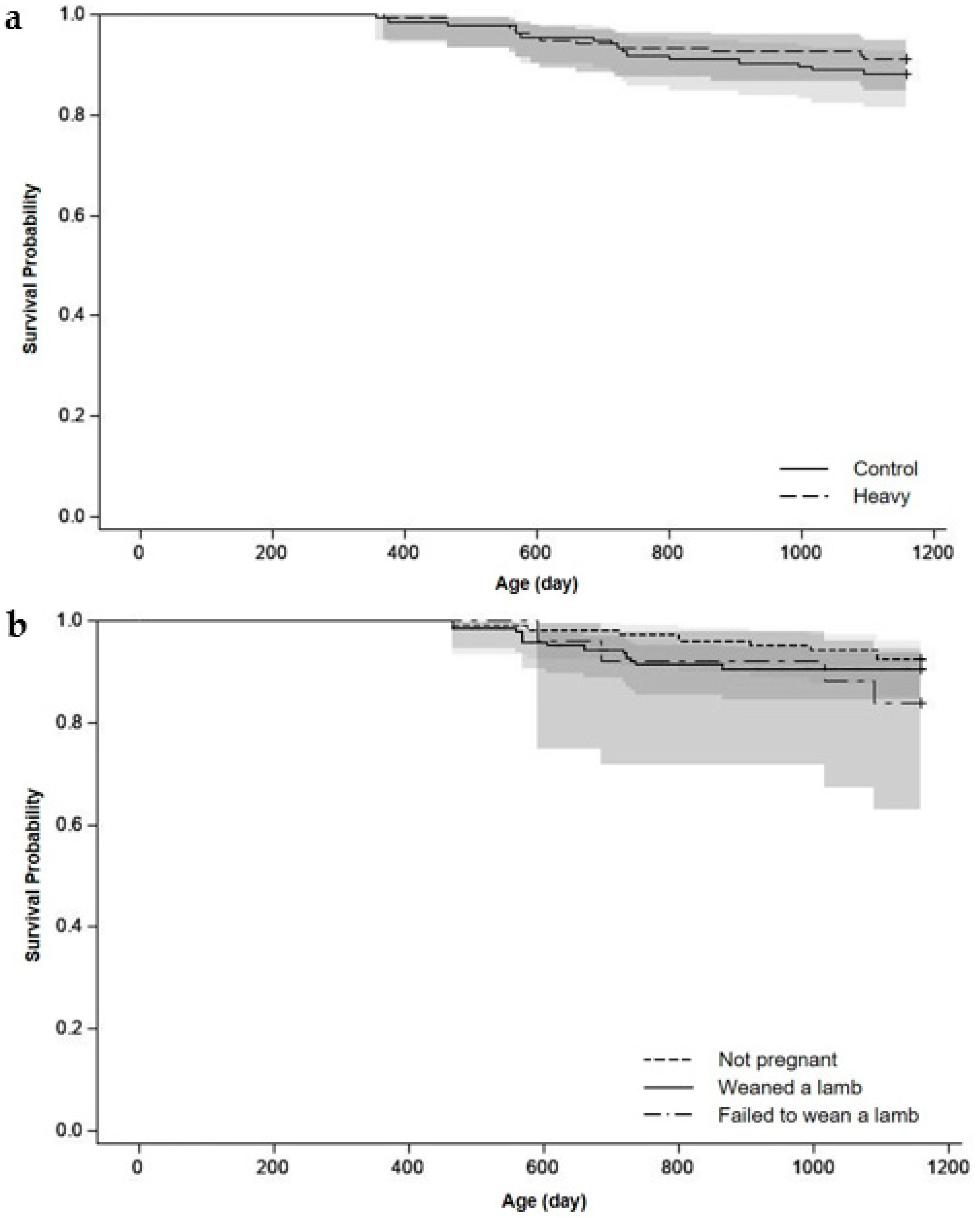 Animals 11 03486 g004