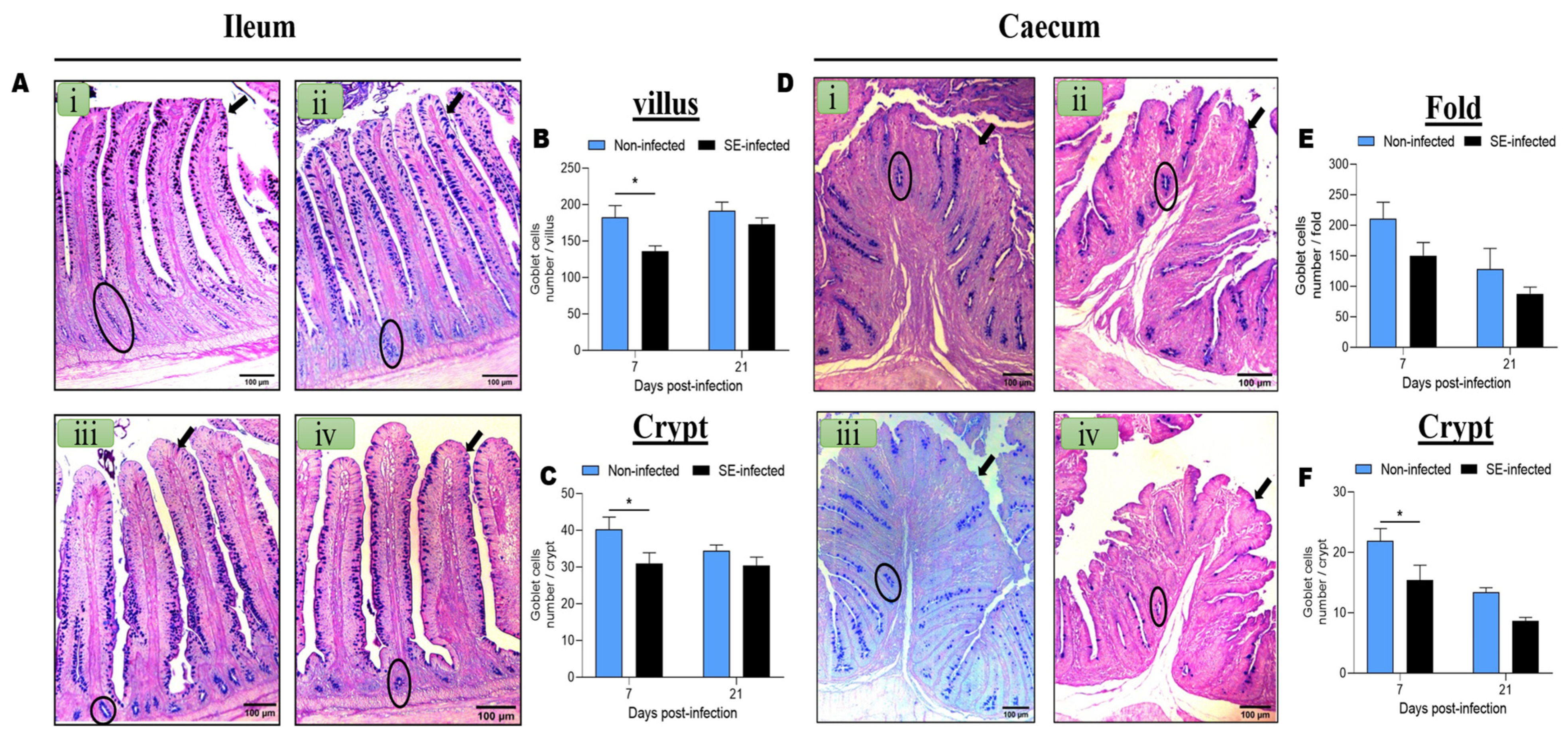 Animals 11 03498 g001