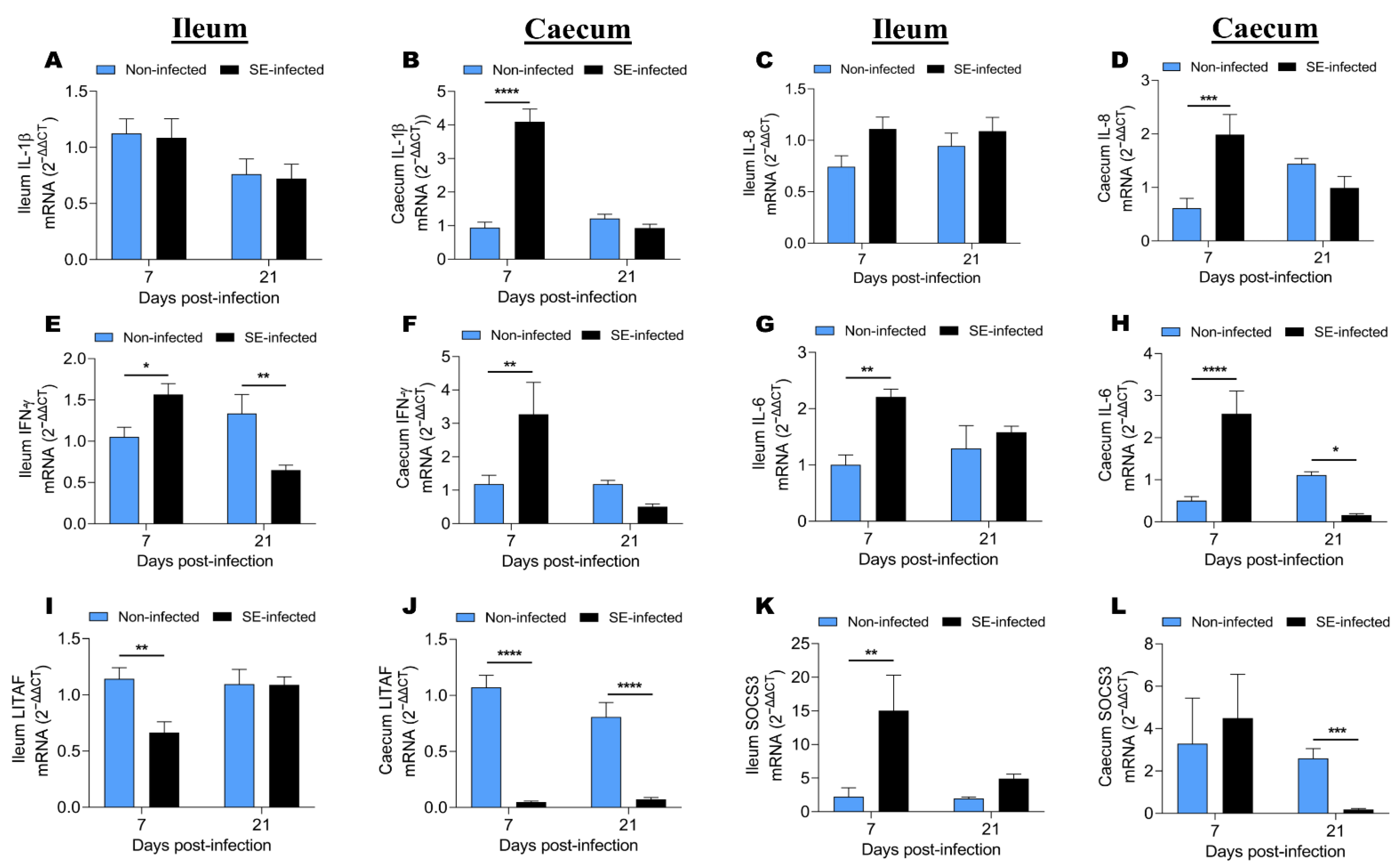 Animals 11 03498 g004