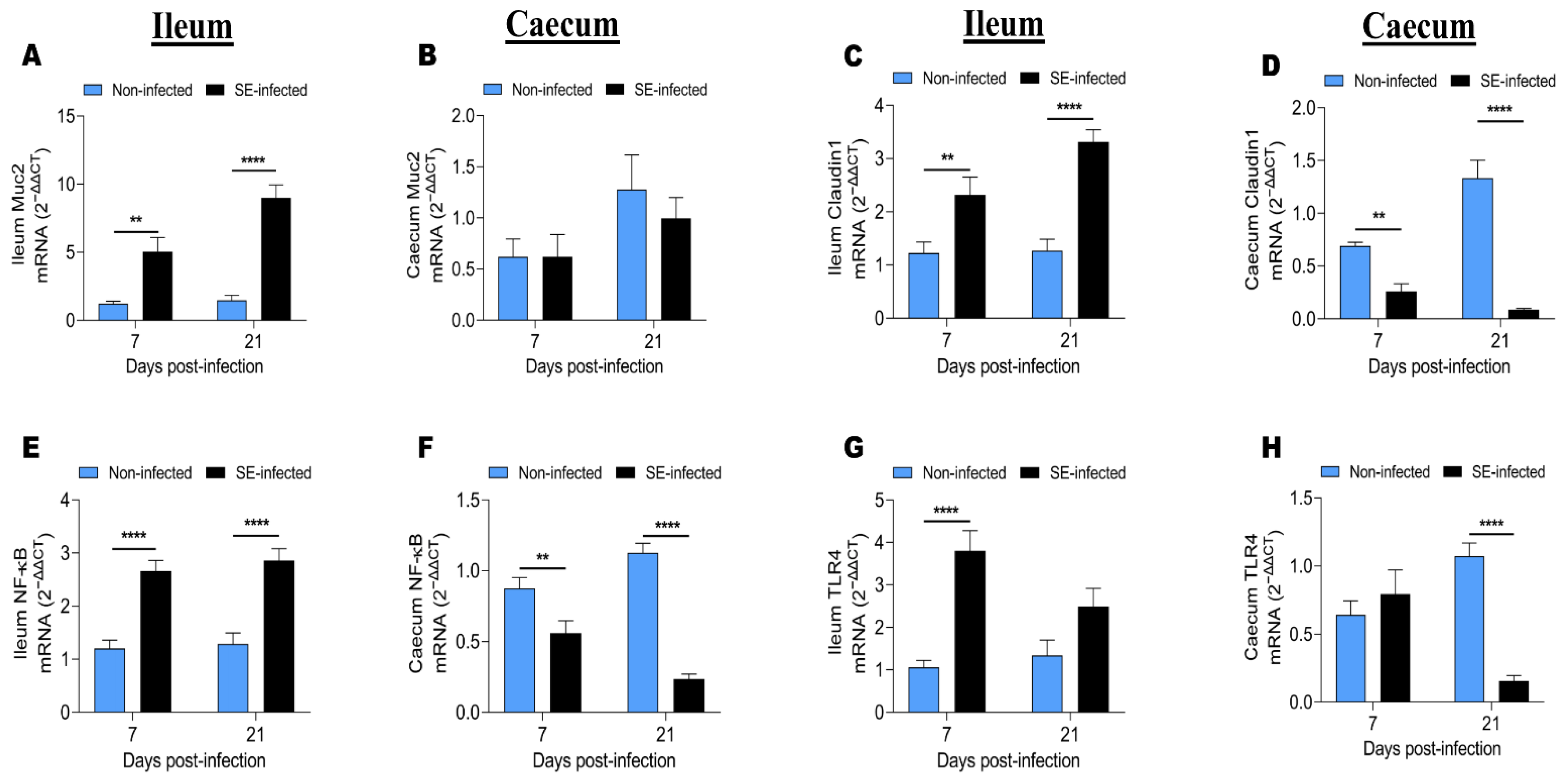 Animals 11 03498 g005