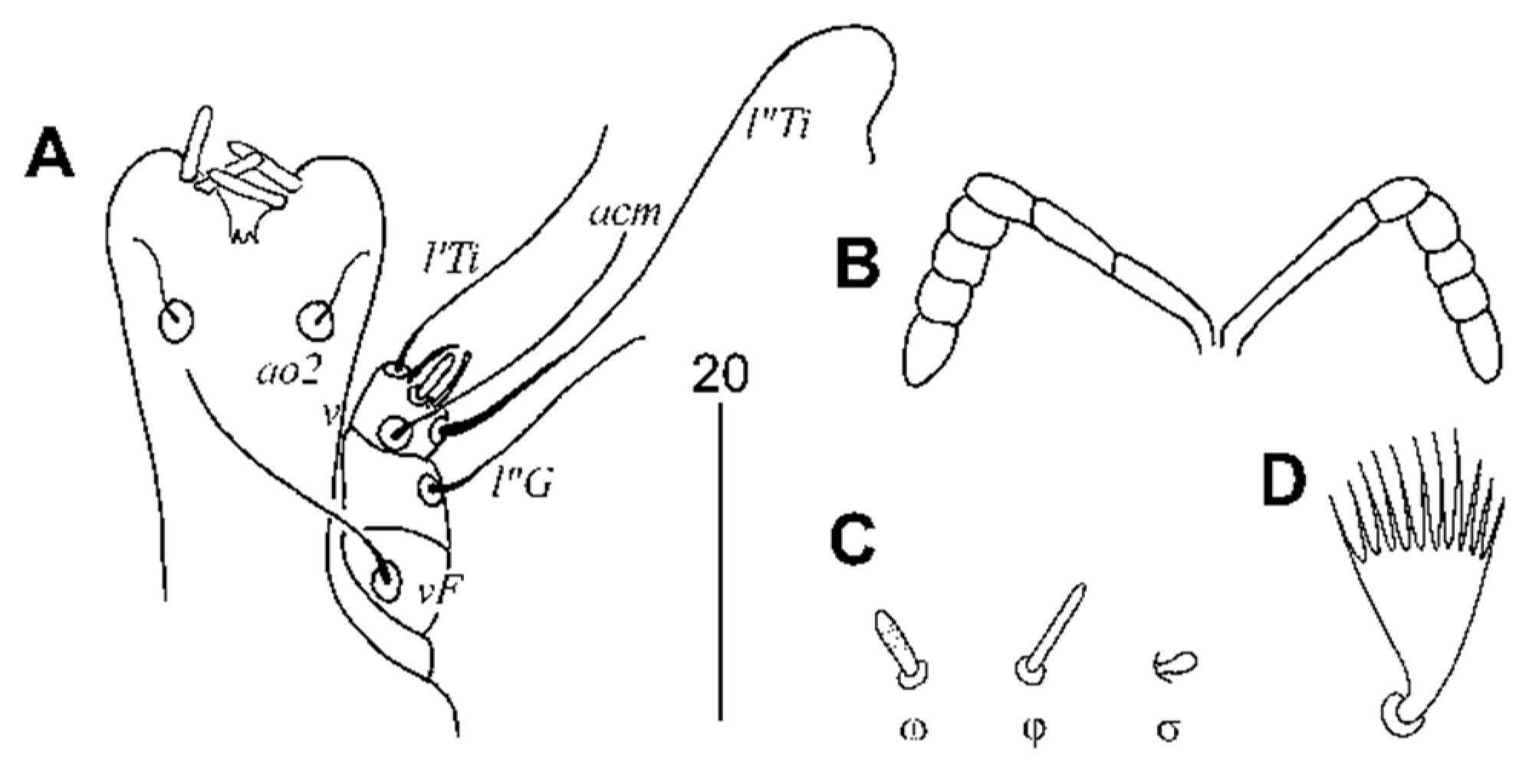 Animals 11 03500 g003