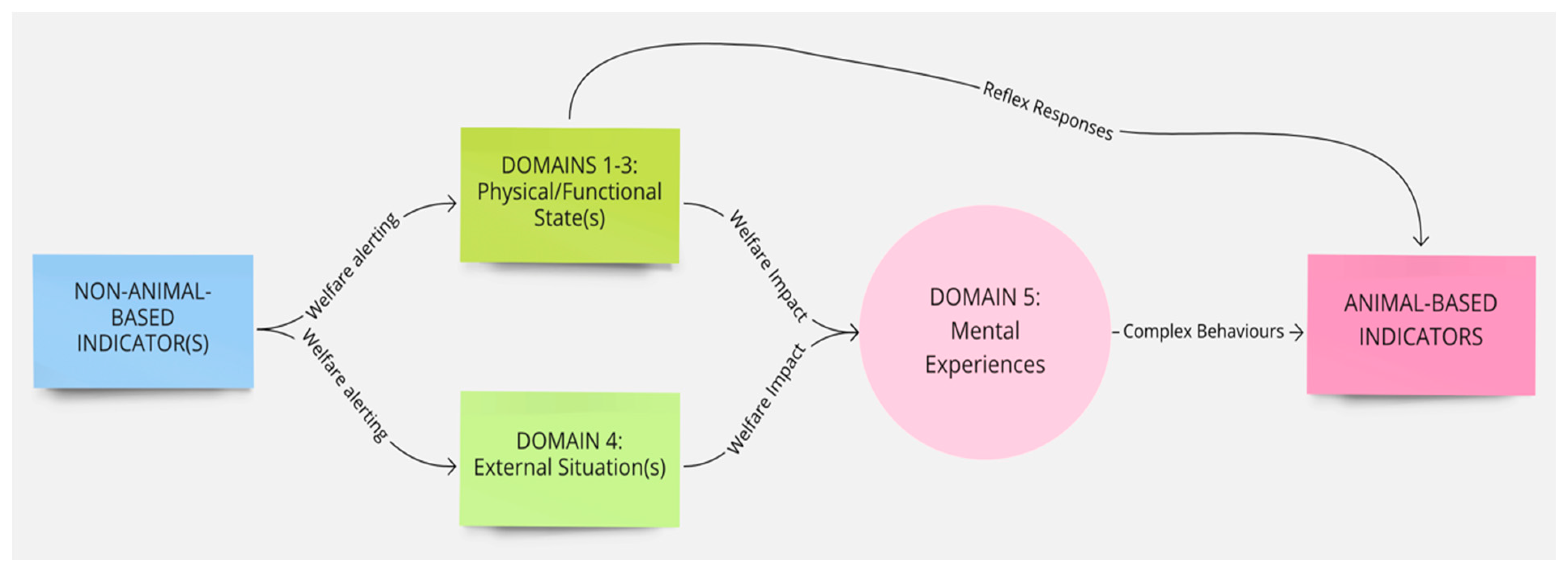 Animals 11 03504 g002
