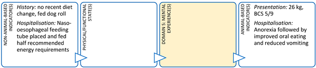 Animals 11 03504 i001 Animals 11 03504 i001