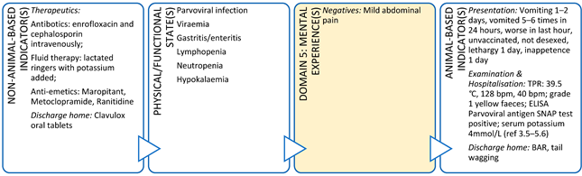 Animals 11 03504 i002