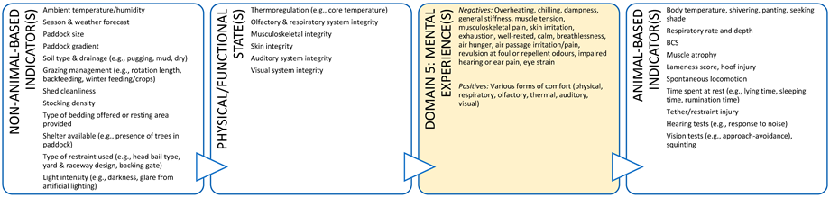 Animals 11 03504 i004 Animals 11 03504 i004