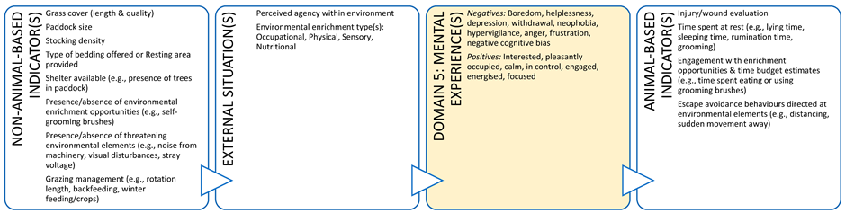 Animals 11 03504 i006 Animals 11 03504 i006
